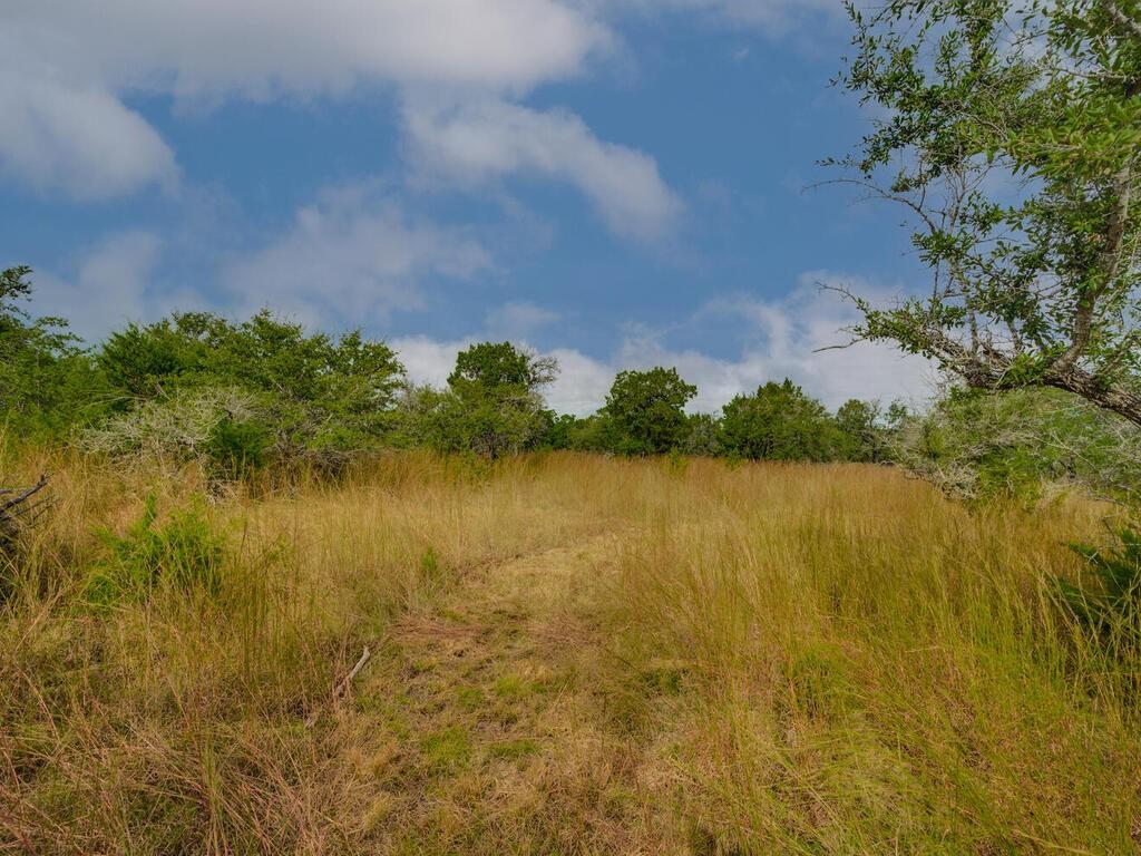 19.84 Acres Off Rr 12 & Mirela Anne Property Photo 20