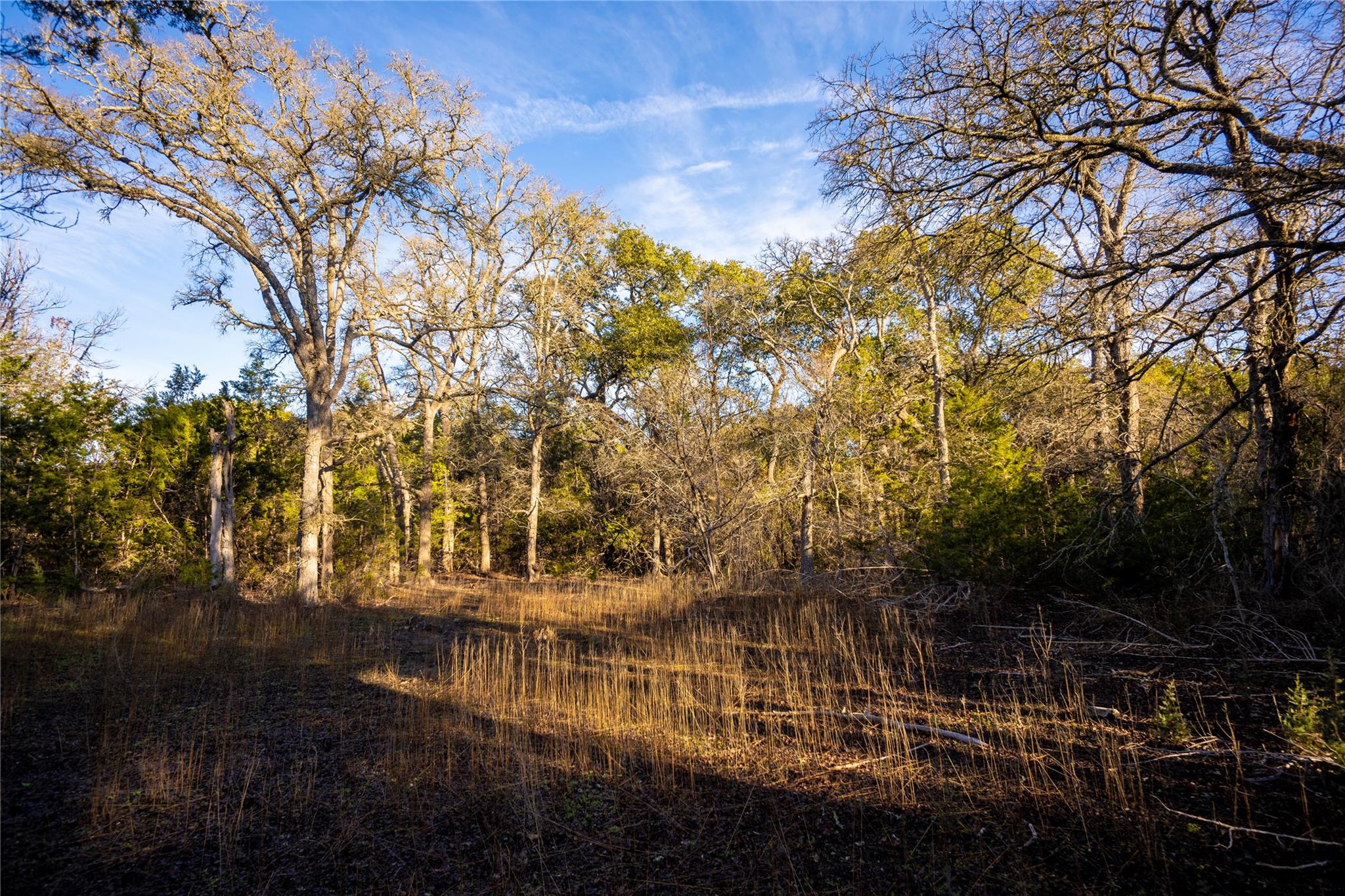 Tbd Fm 2657 Property Photo 17