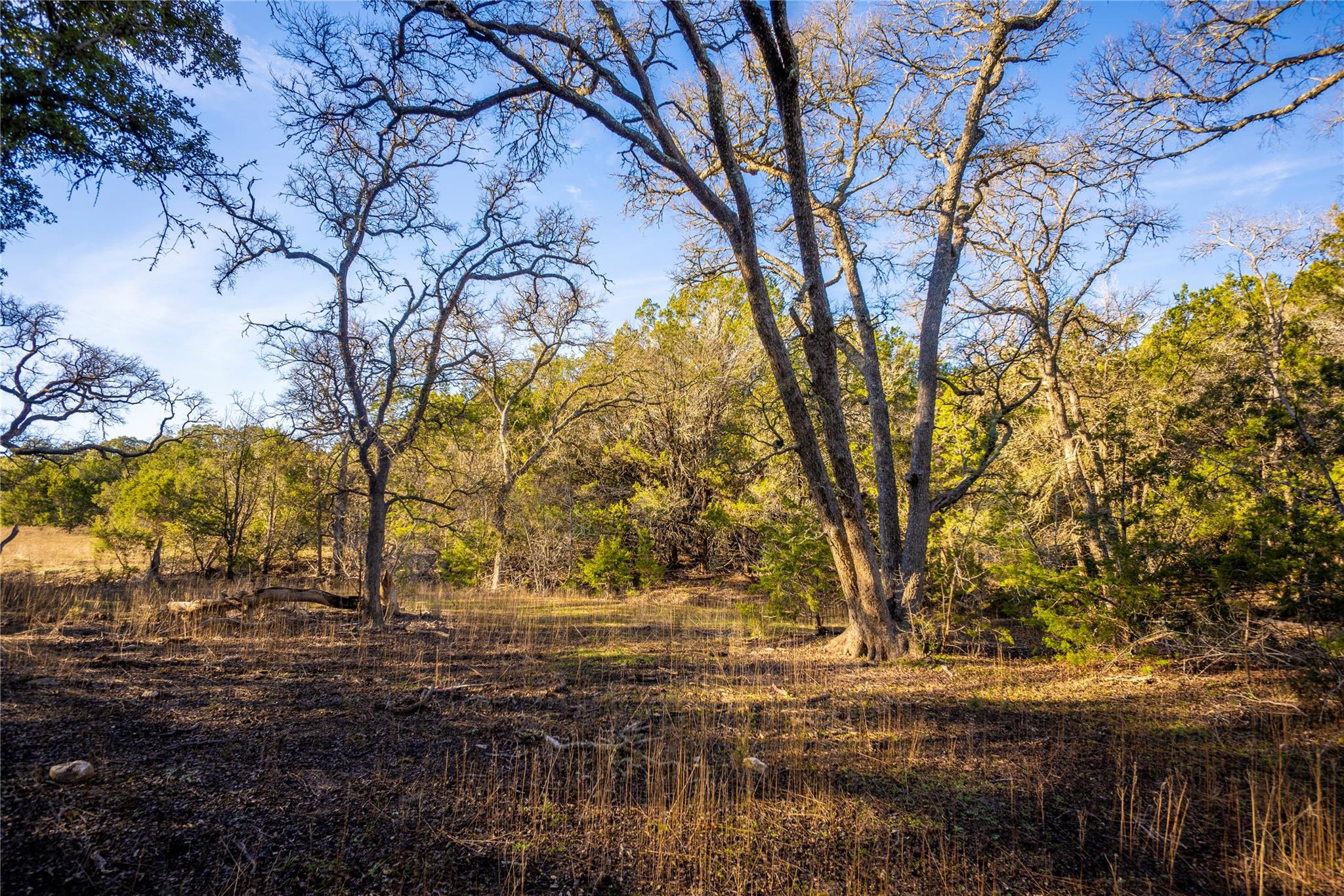 Tbd Fm 2657 Property Photo 18