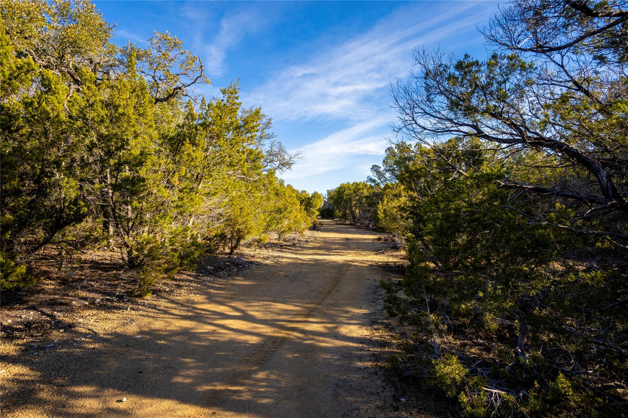 Tbd Fm 2657 Property Photo 20