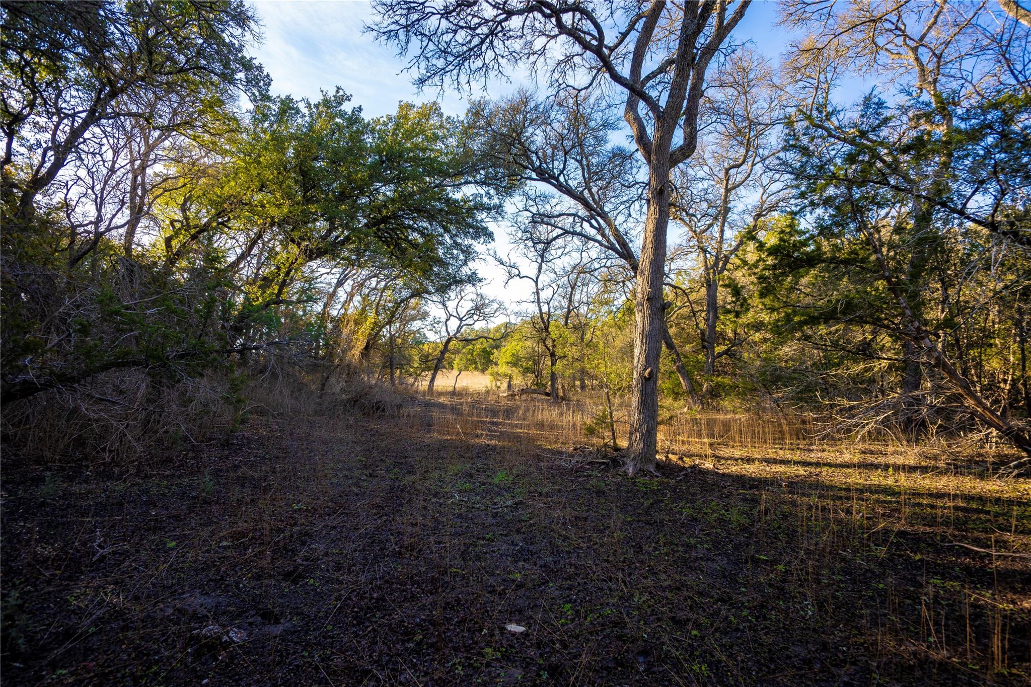 Tbd Fm 2657 Property Photo 22