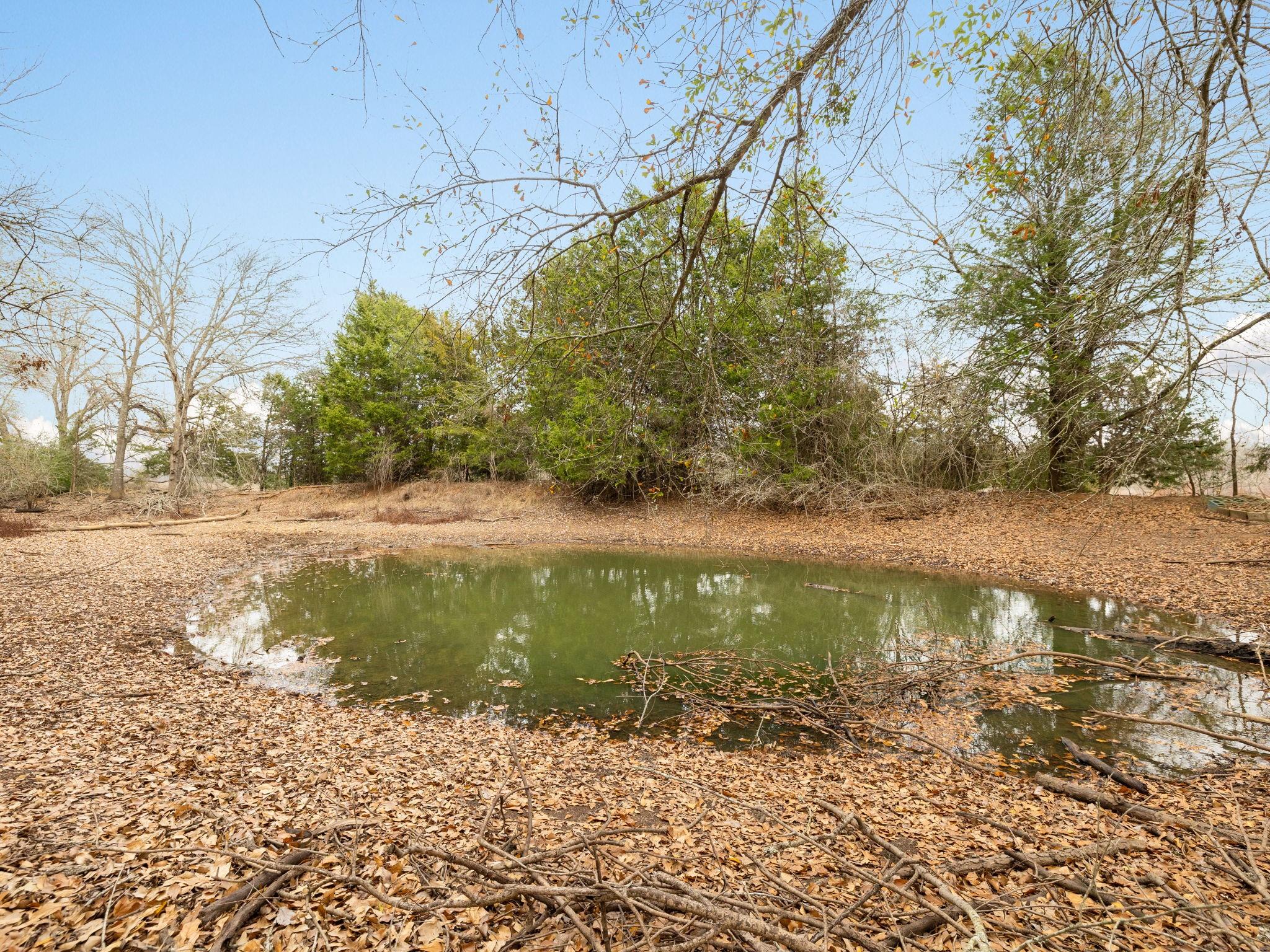 1504 County Road 459 None Property Photo 3