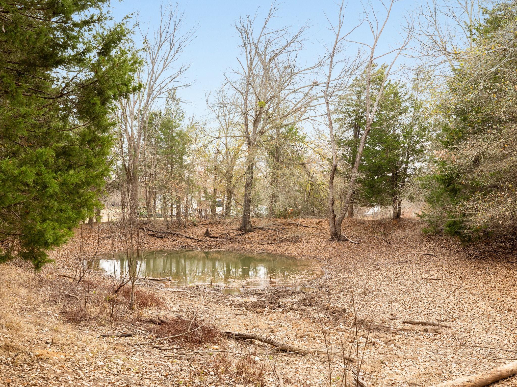 1504 County Road 459 None Property Photo 25