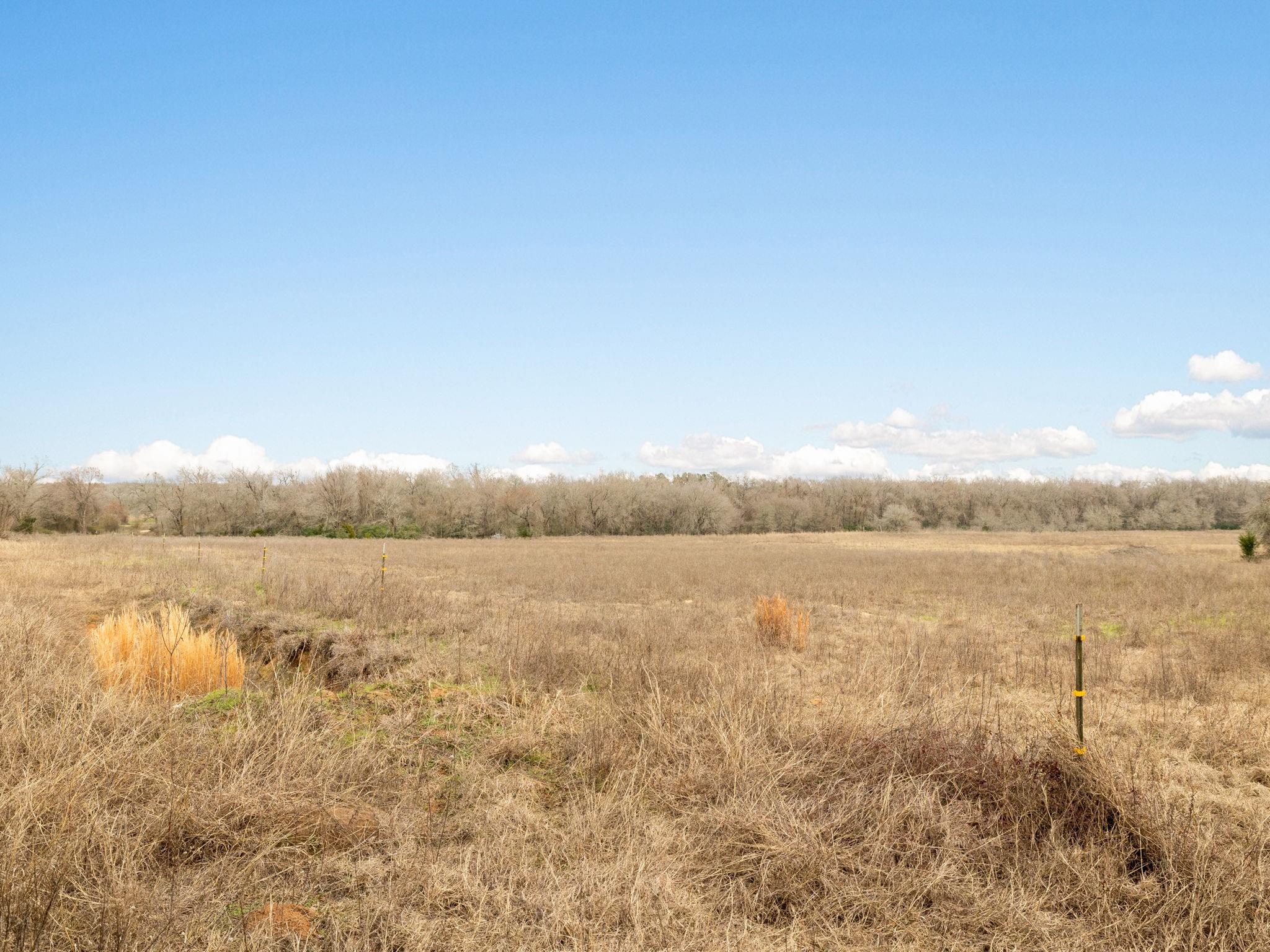 1504 County Road 459 None Property Photo 26