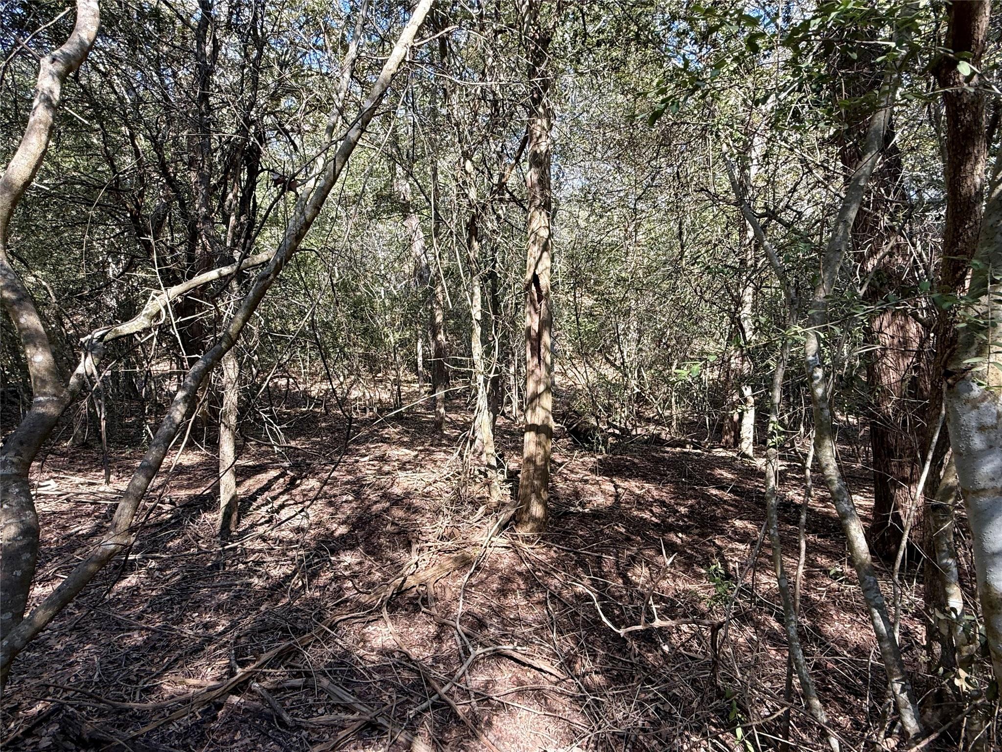 Tbd Lot 1233 Hanauma Dr Property Photo 11