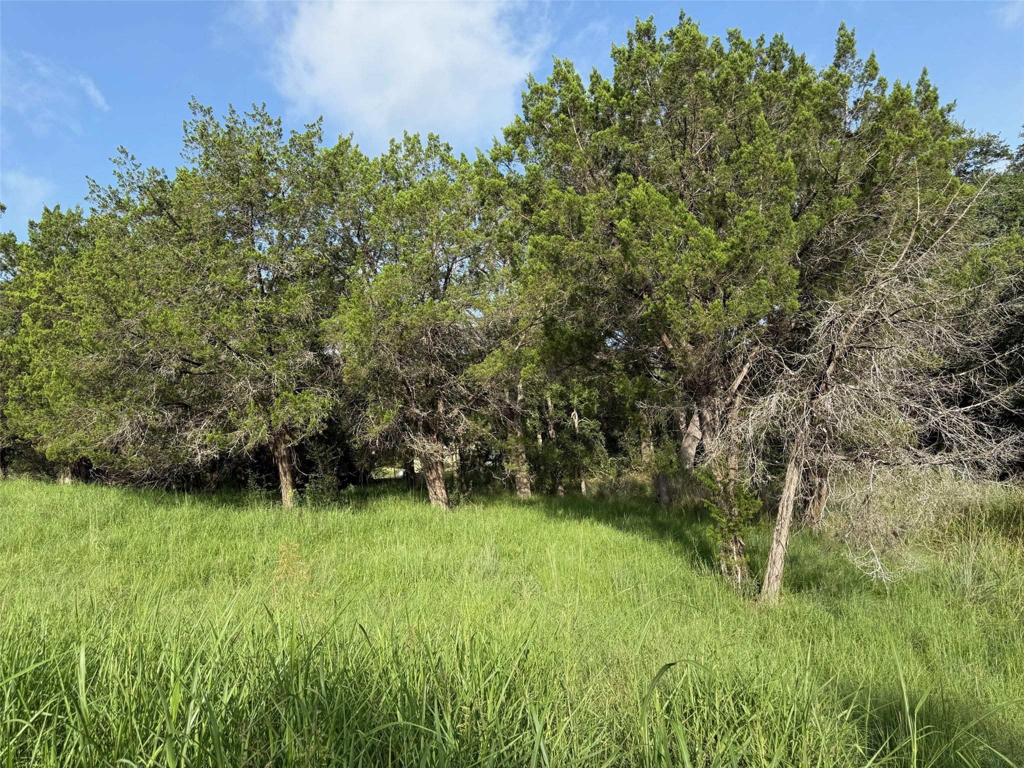 Lot W34027 Apache Tears None Property Photo 3