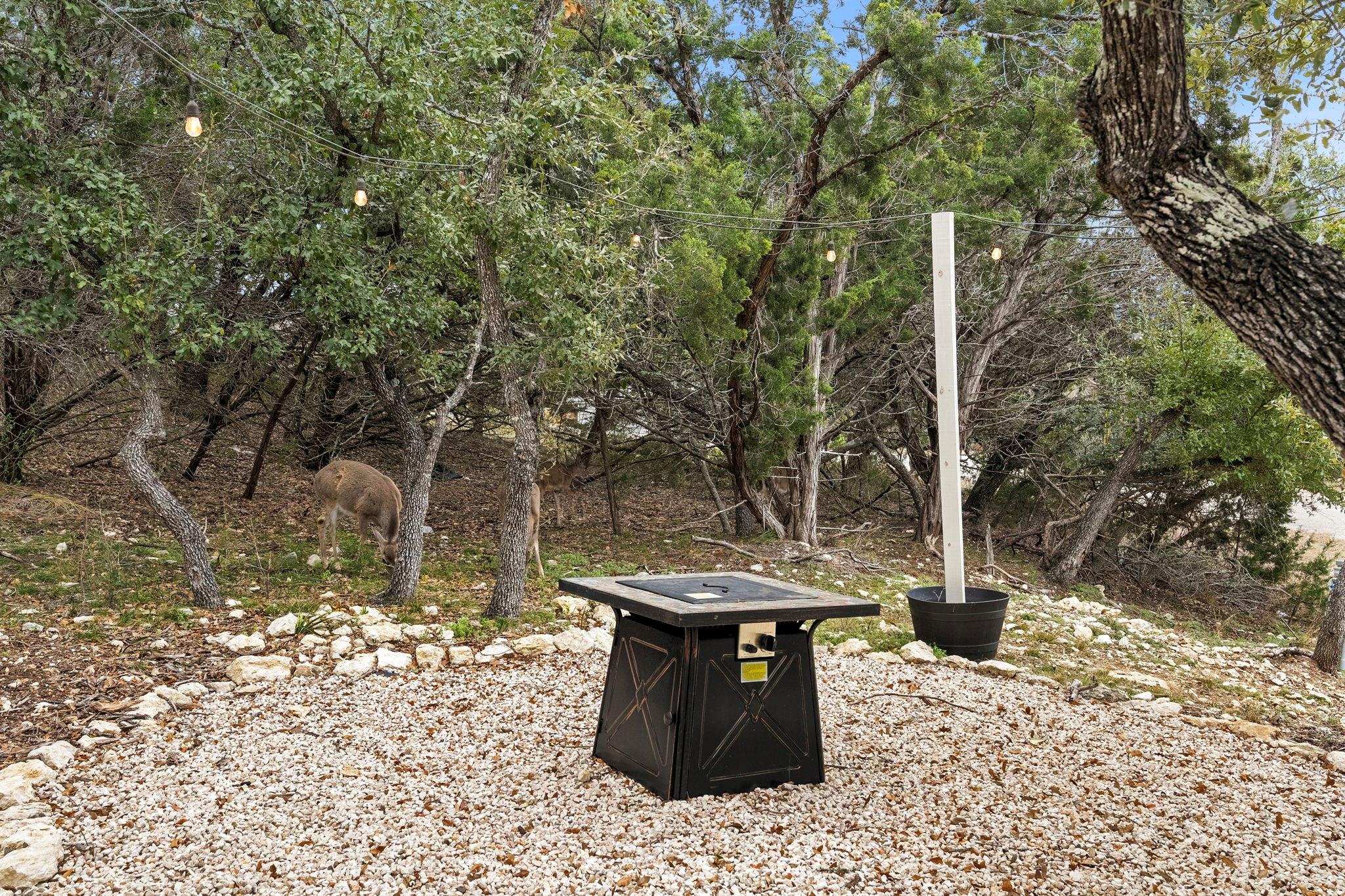 578 Firefly Dr Property Photo 35