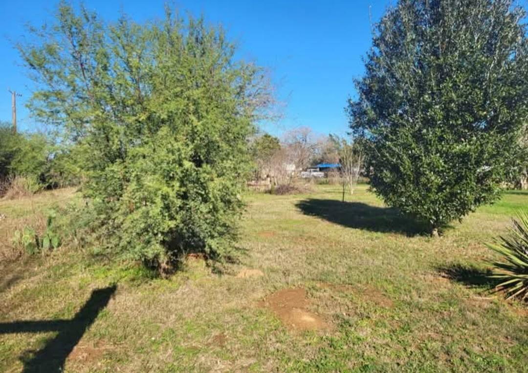 385 Alta Vista Dr Property Photo 4