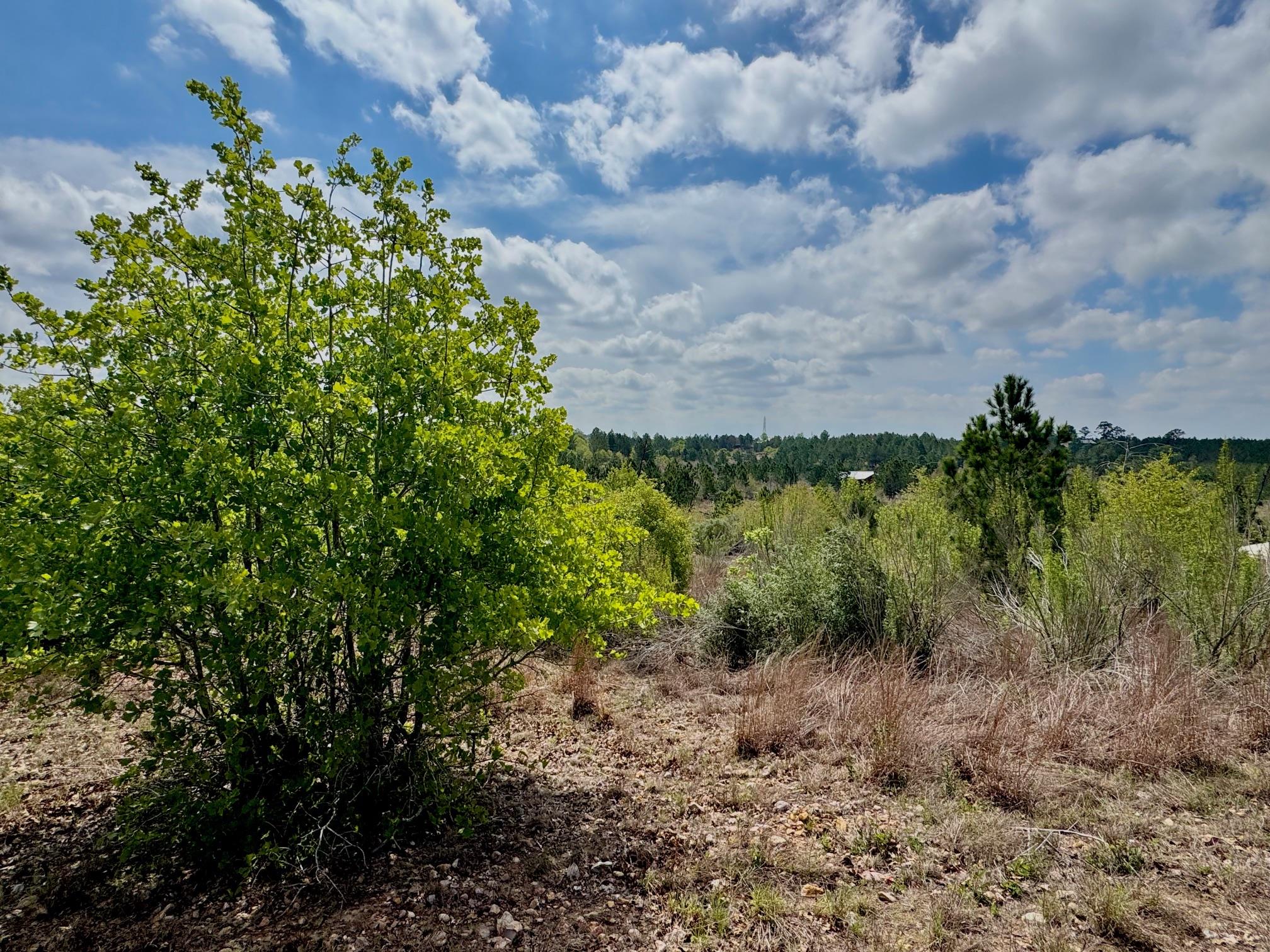 Tbd Hudson Rd Property Photo 1