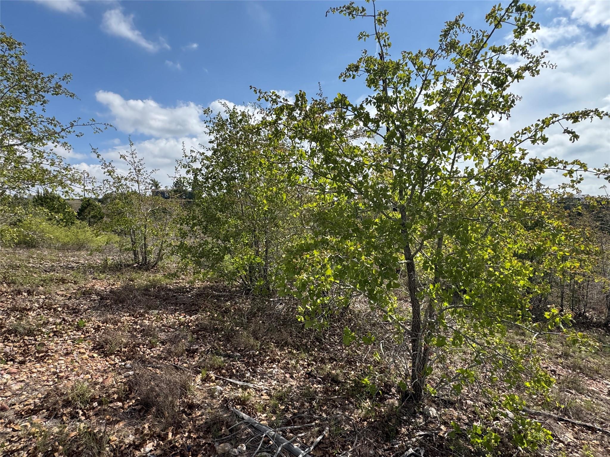 Tbd Hudson Rd Property Photo 3