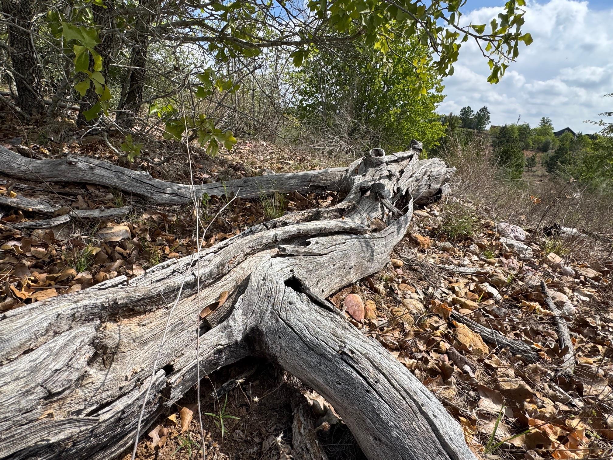 Tbd Hudson Rd Property Photo 8