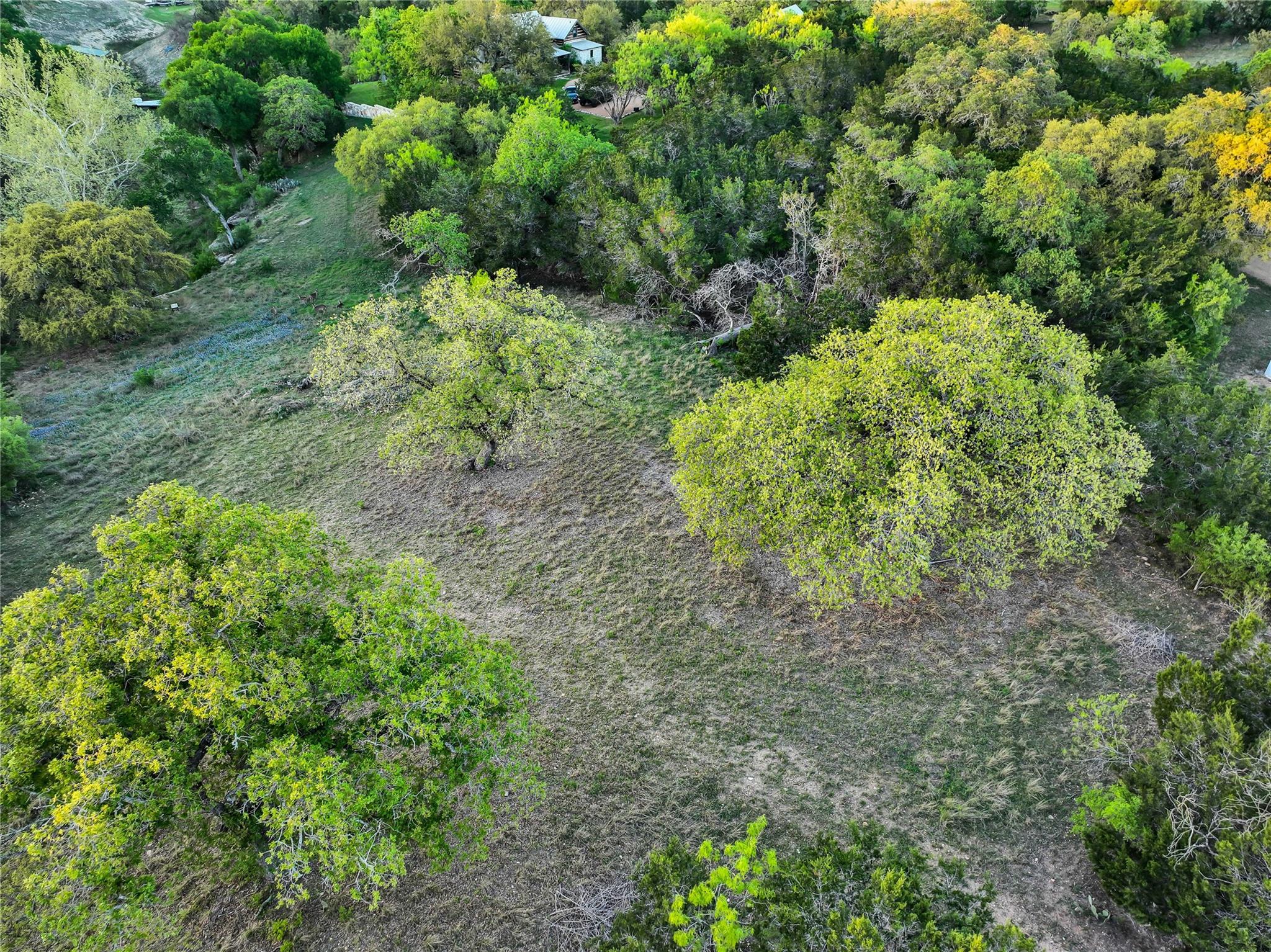 2922 Travis Lakeside Dr Property Photo 13