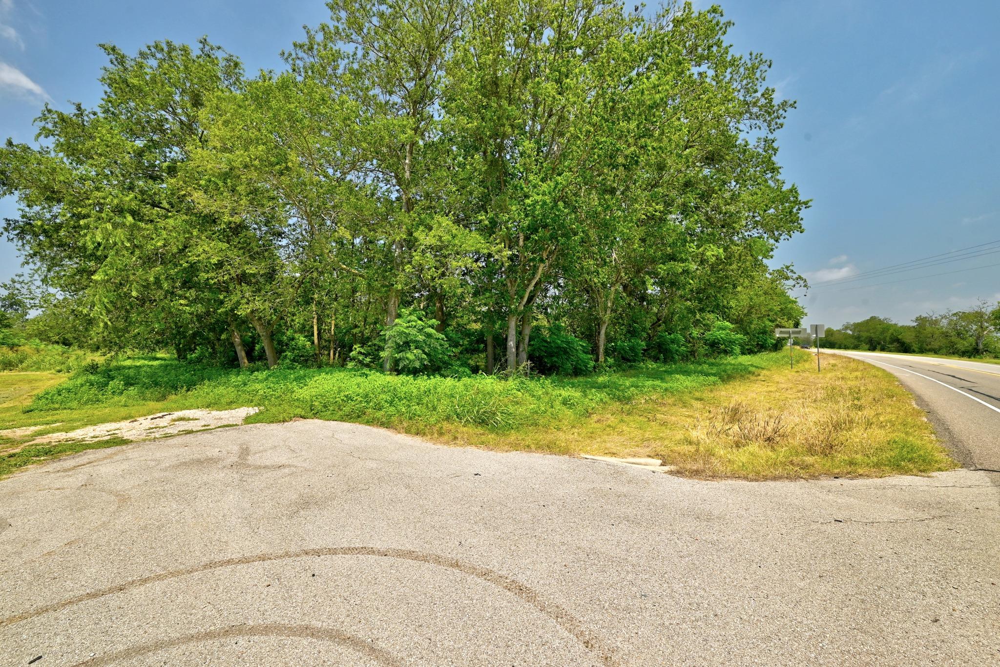 Tbd Fm Rd 969 None Property Photo 15