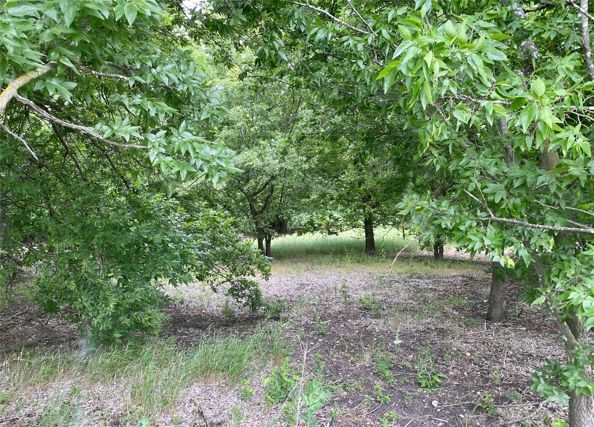13732 Chandler Rd Property Photo 24