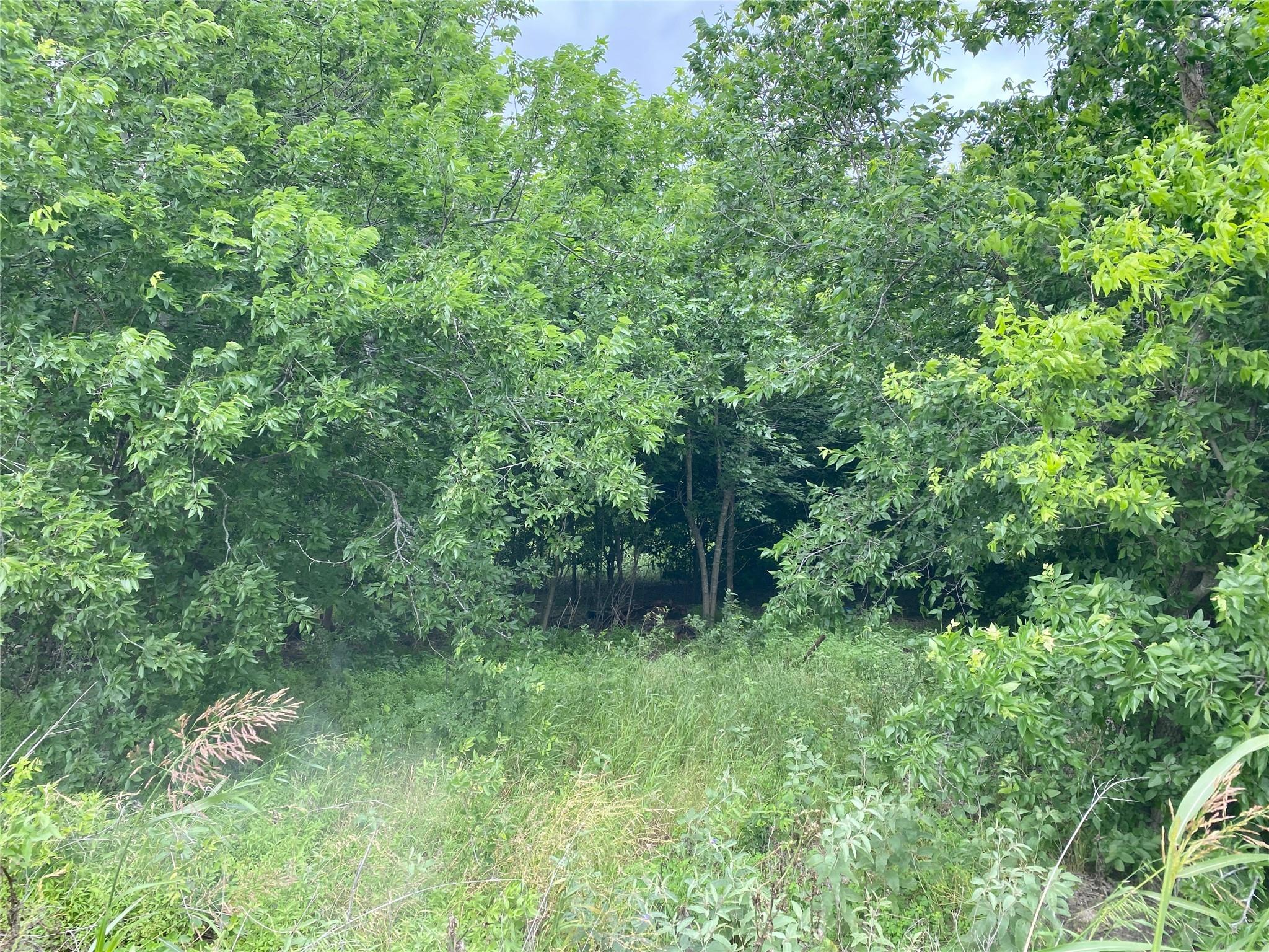 13732 Chandler Rd Property Photo 27