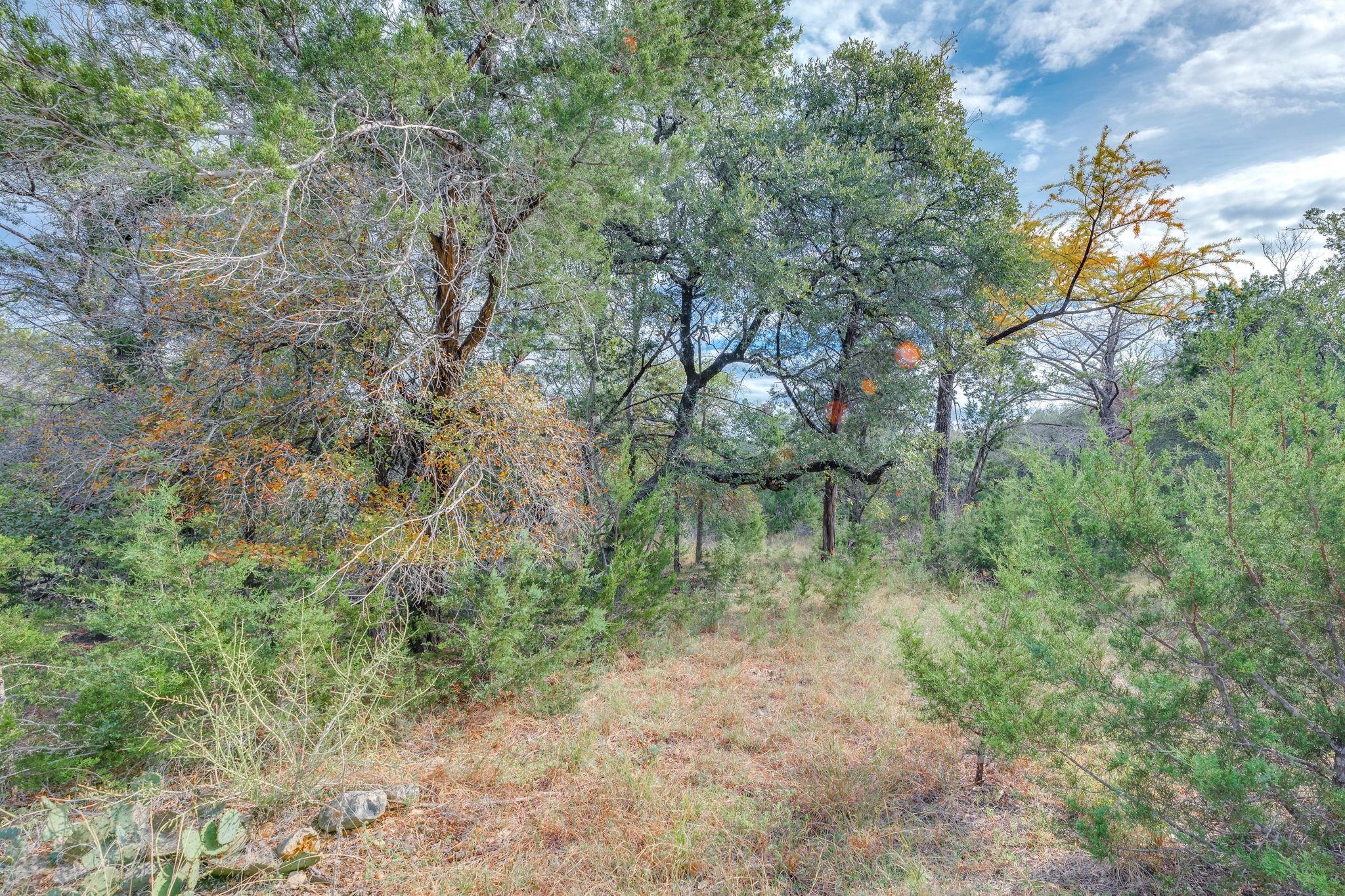 0 Travis Oaks Dr Property Photo 4