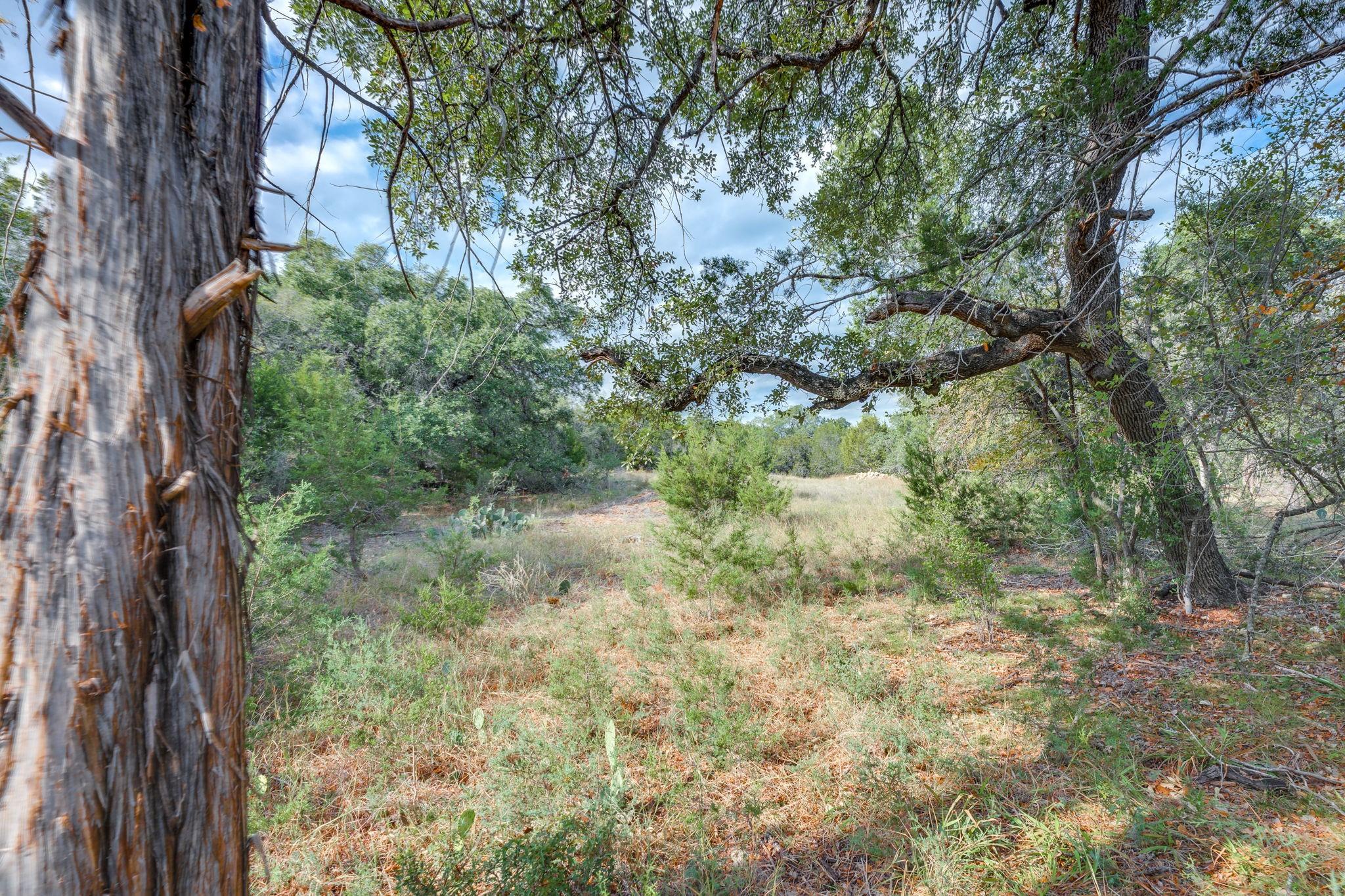 0 Travis Oaks Dr Property Photo 6