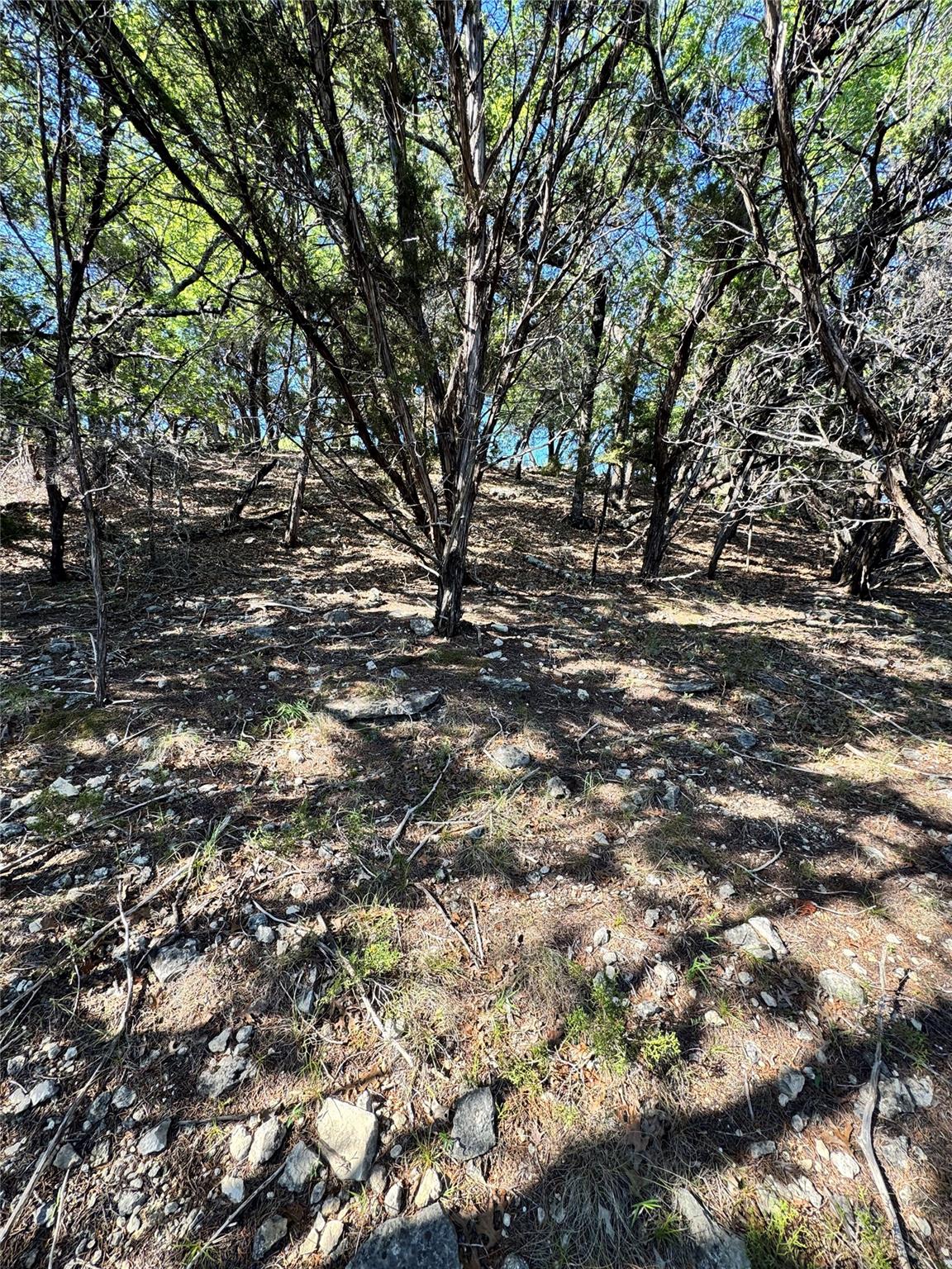 7921 Folklore Cir Property Photo 3