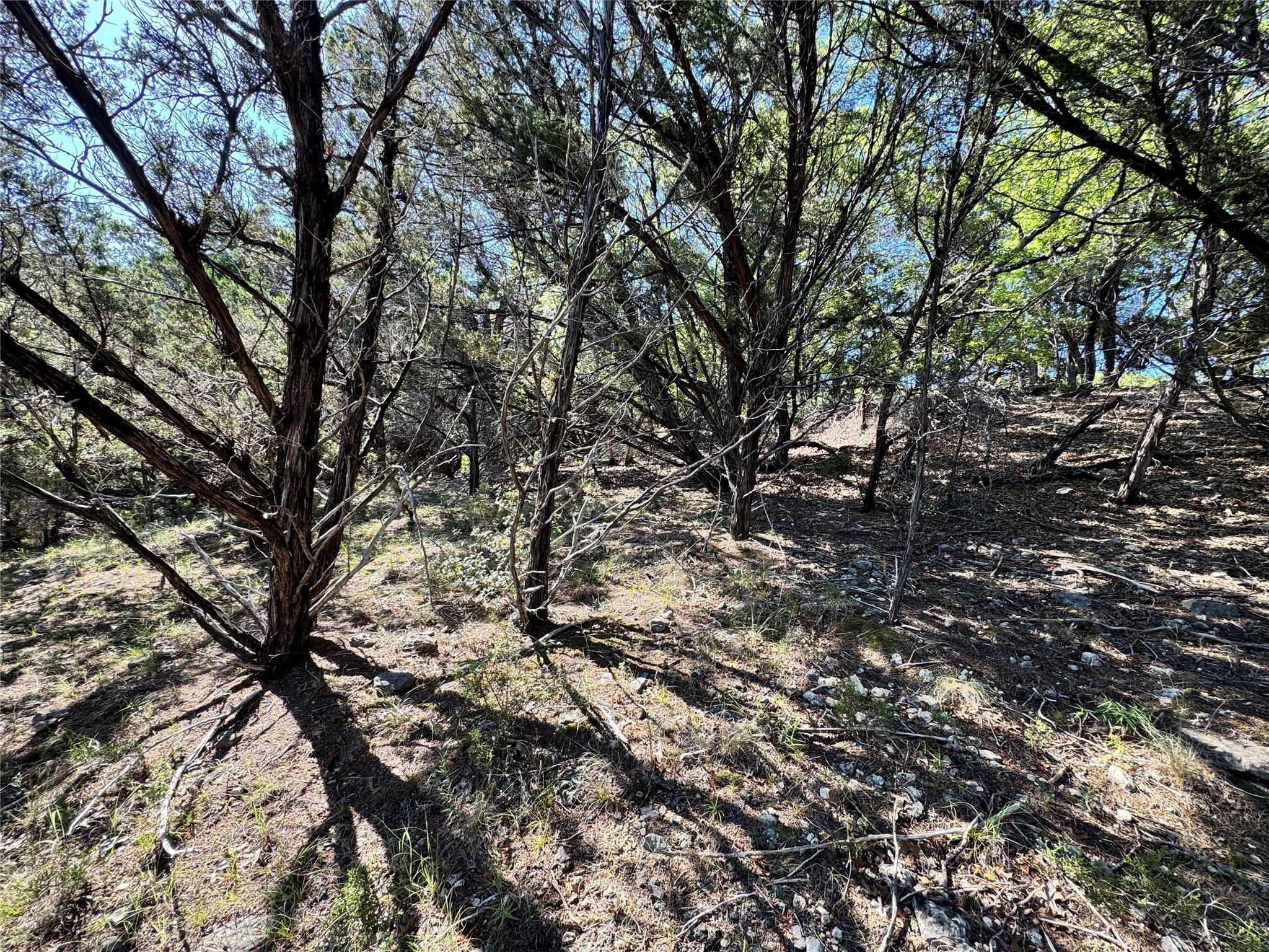 7921 Folklore Cir Property Photo 8