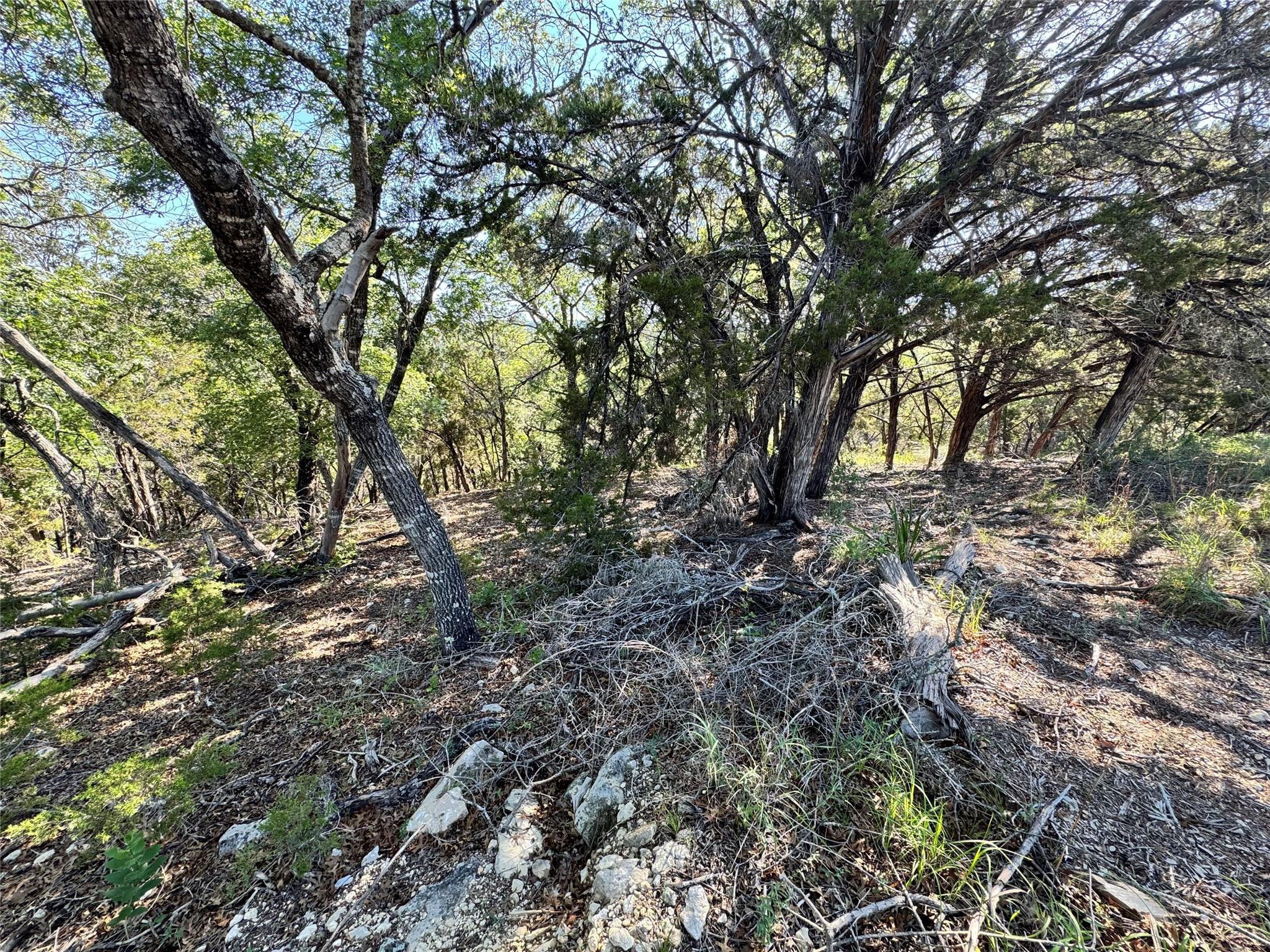 7921 Folklore Cir Property Photo 9