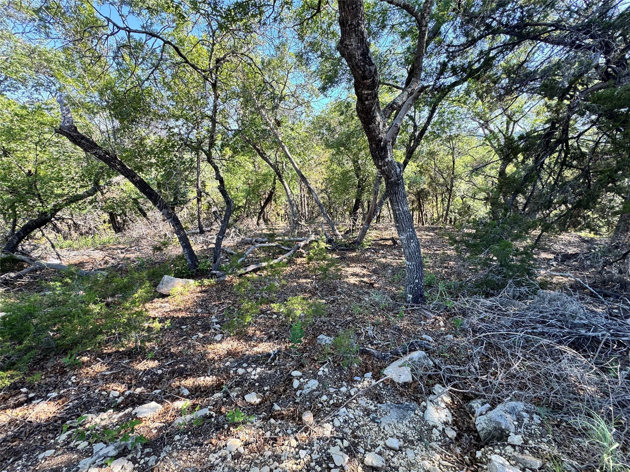 7921 Folklore Cir Property Photo 10