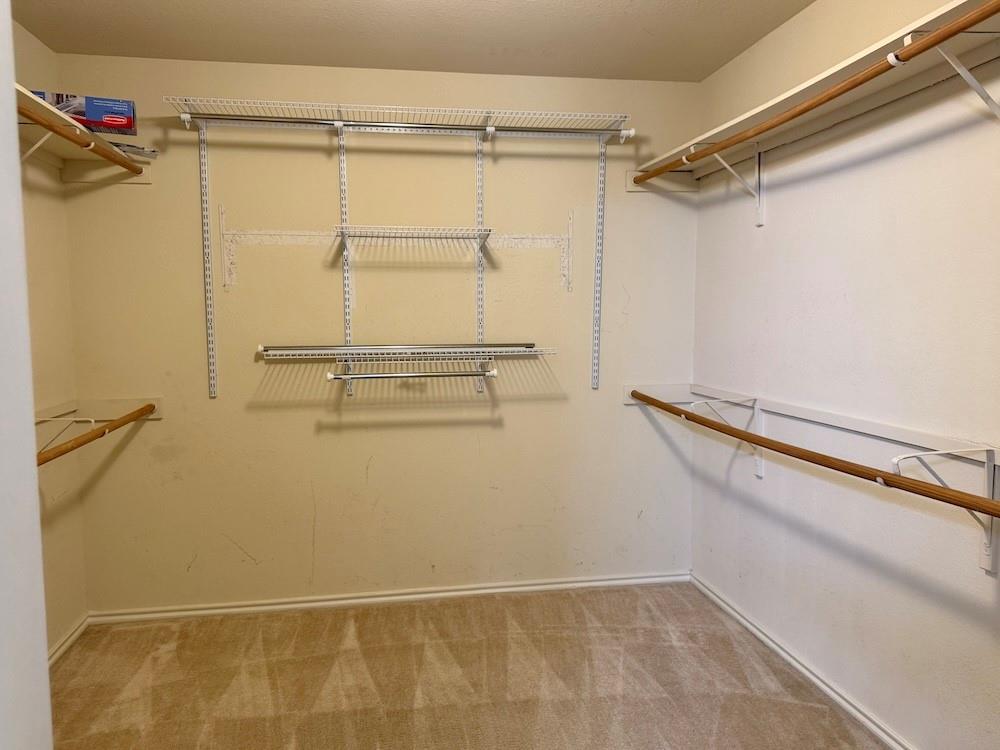 137 Firewheel Cv Property Photo 14