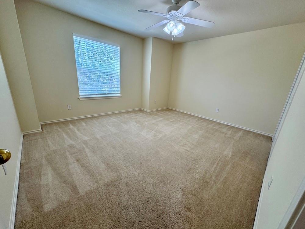 137 Firewheel Cv Property Photo 15