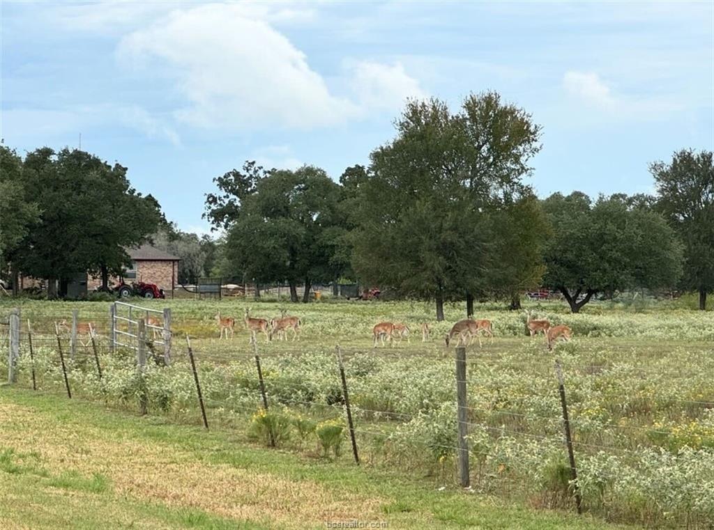 1102 Private Road 2332 None Property Photo 40