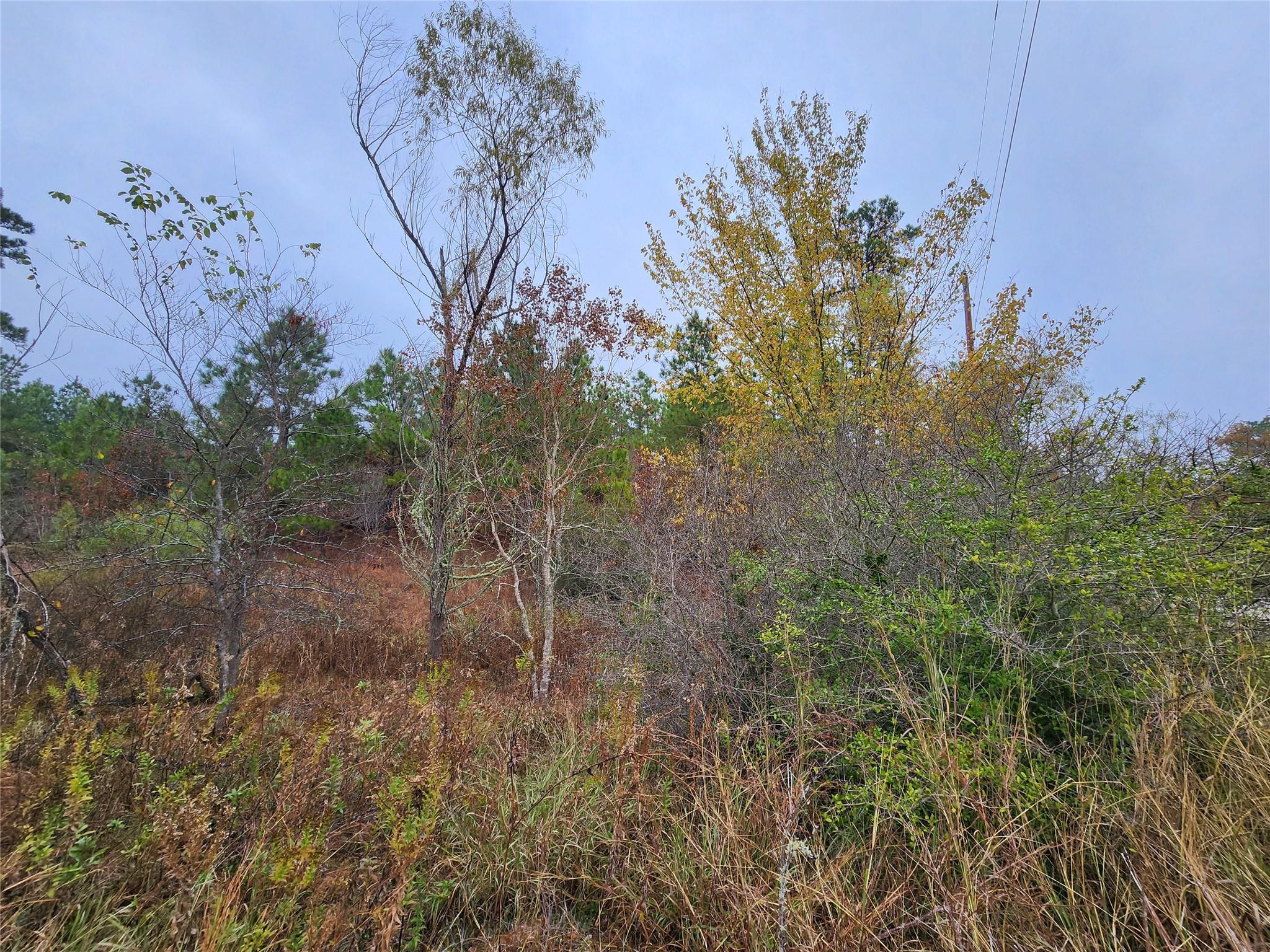 Lot 636 & 637 Mahalo Ct Property Photo 5