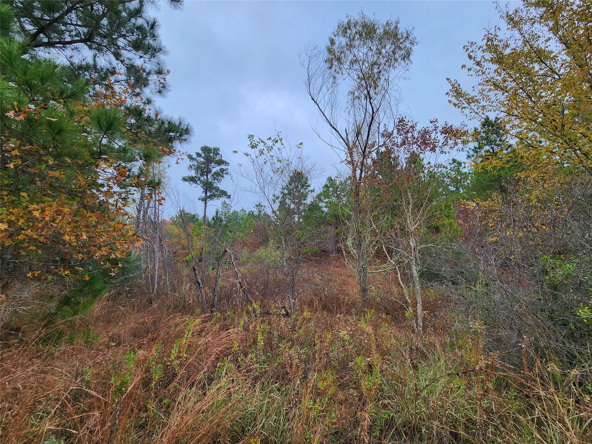 Lot 636 & 637 Mahalo Ct Property Photo 6