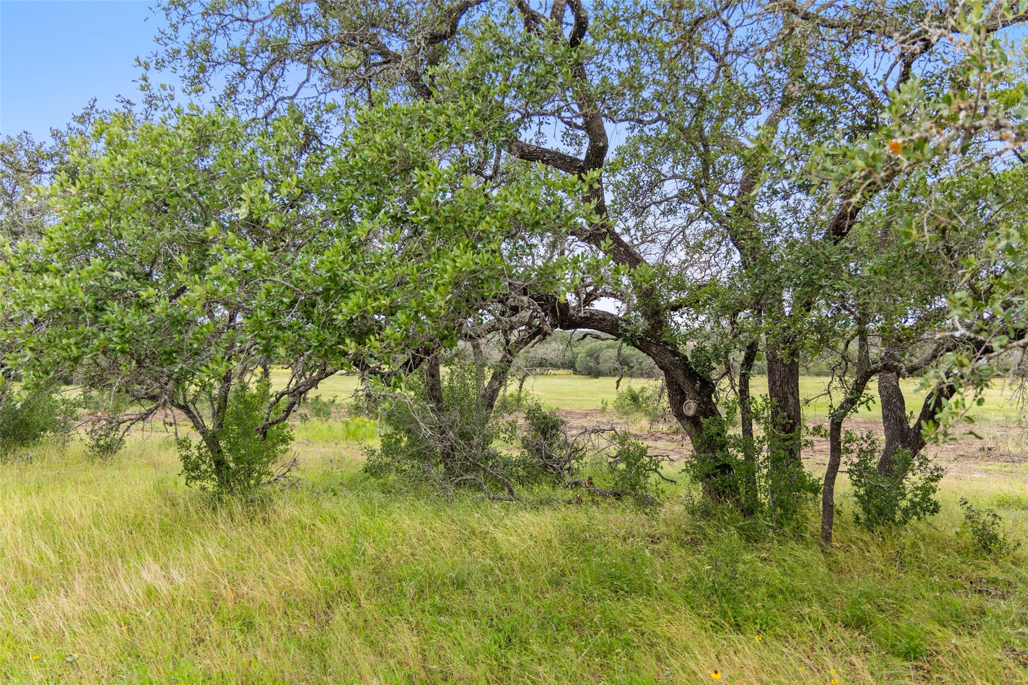 1422-32 Ranch To Market 2766 Property Photo 2