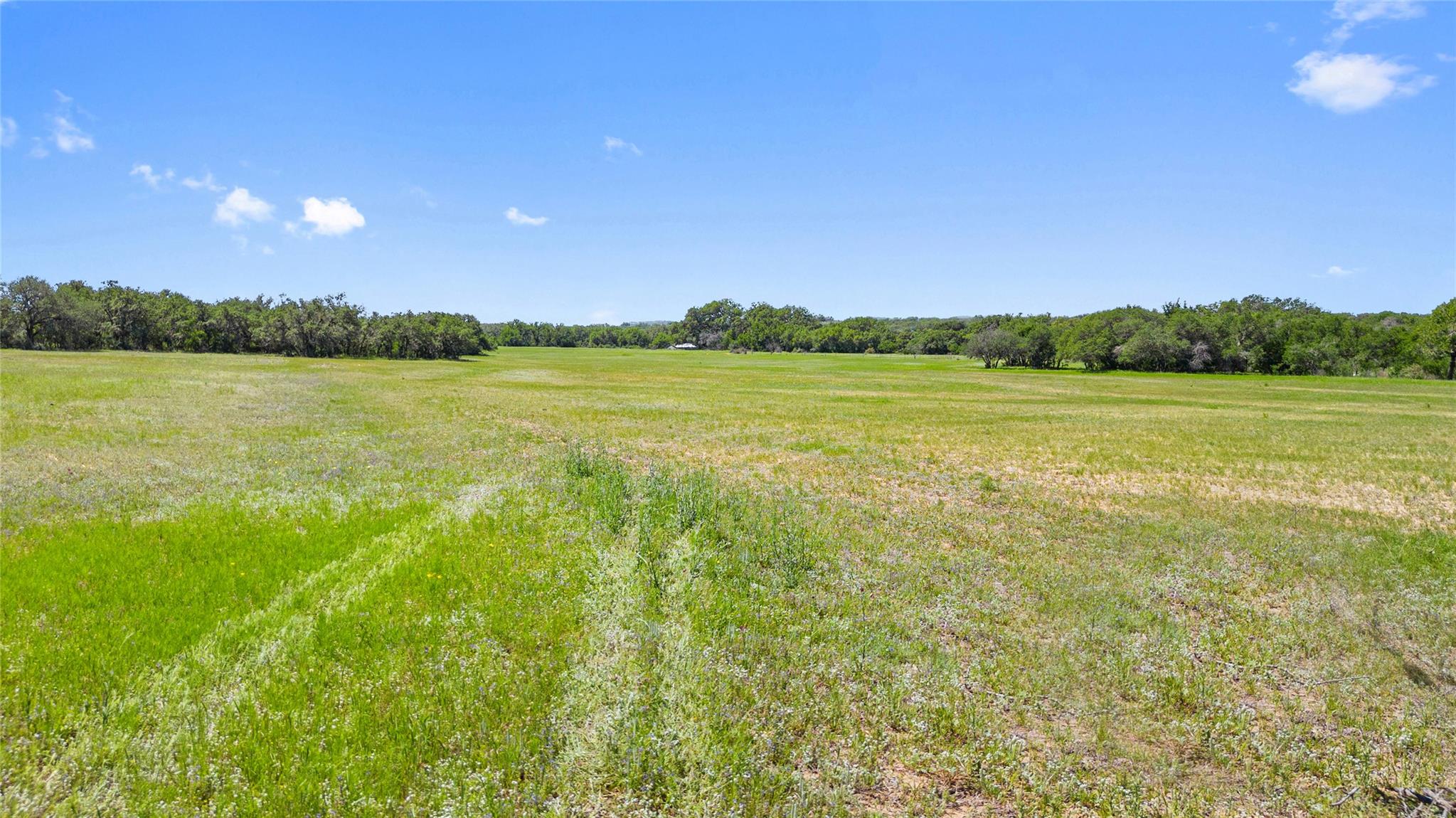 1422-32 Ranch To Market 2766 Property Photo 3