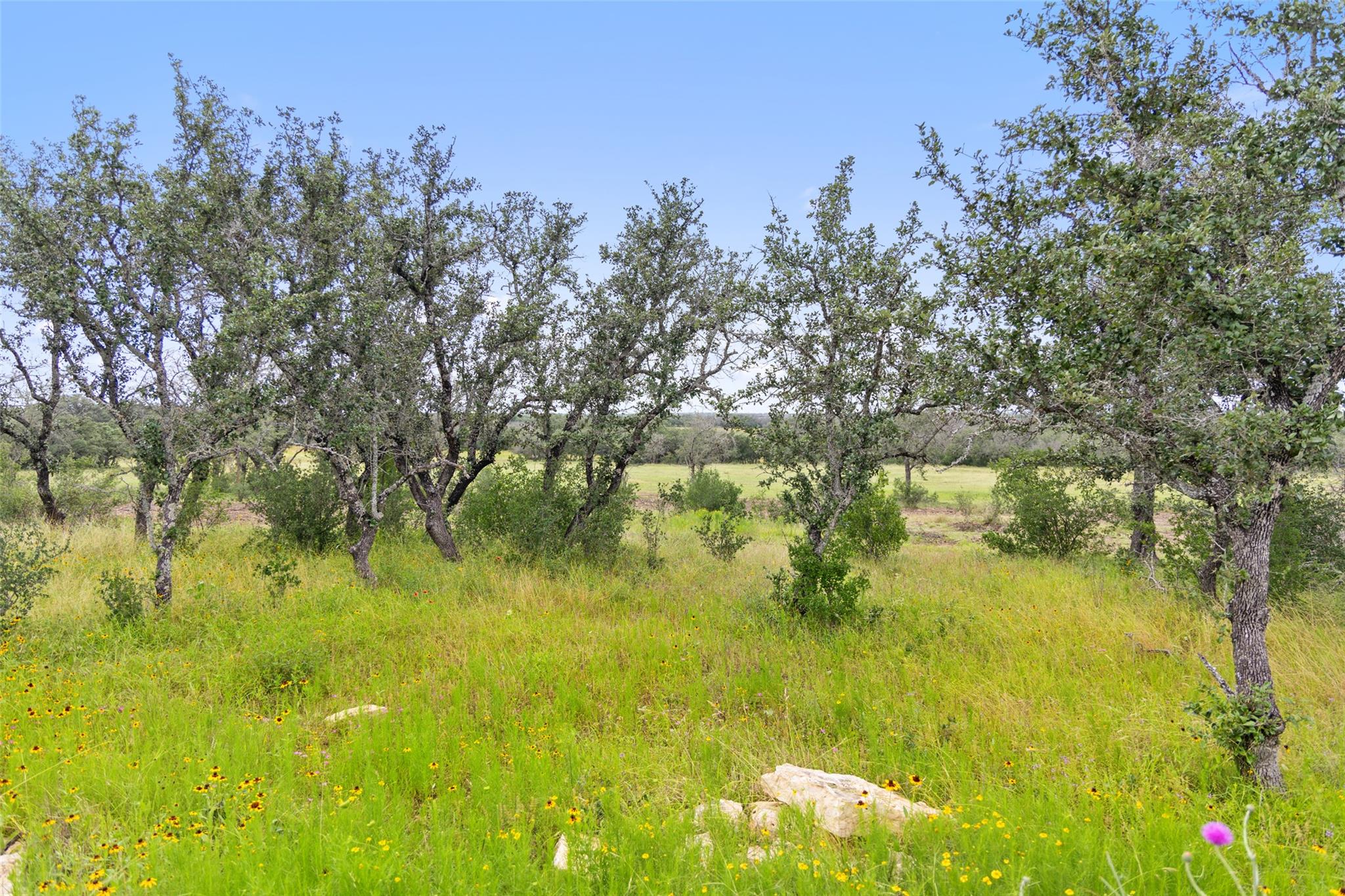 1422-32 Ranch To Market 2766 Property Photo 7