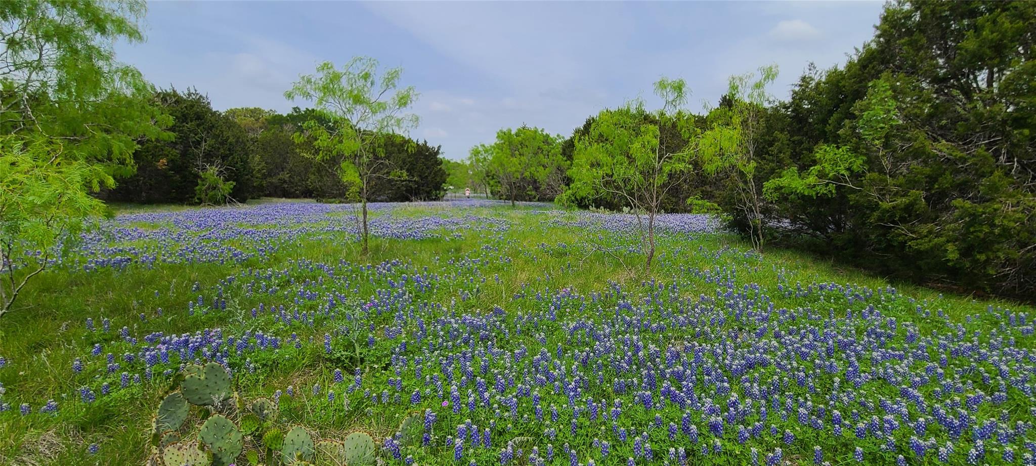 Tbd Us Highway 190 E None Property Photo 1