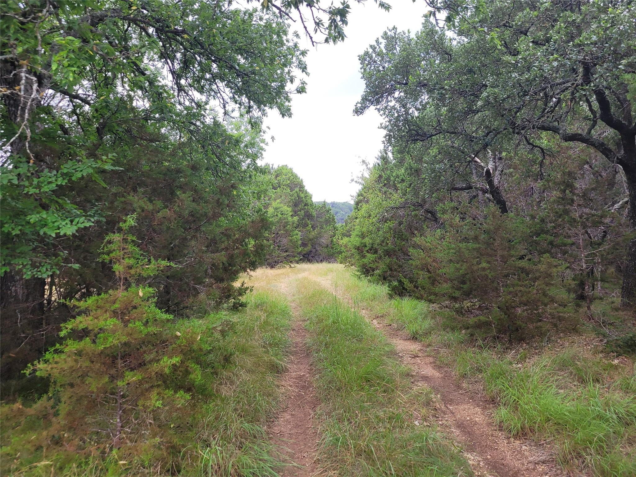 Tbd Us Highway 190 E None Property Photo 2