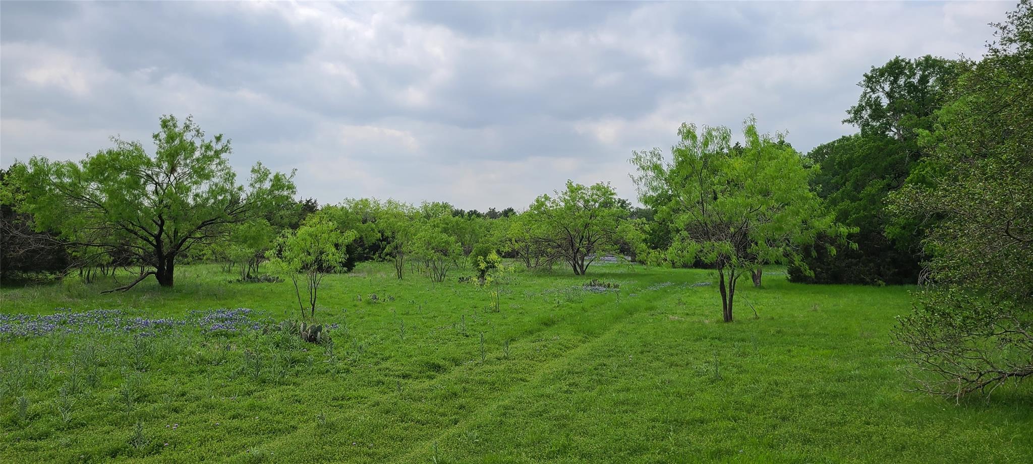 Tbd Us Highway 190 E None Property Photo 3