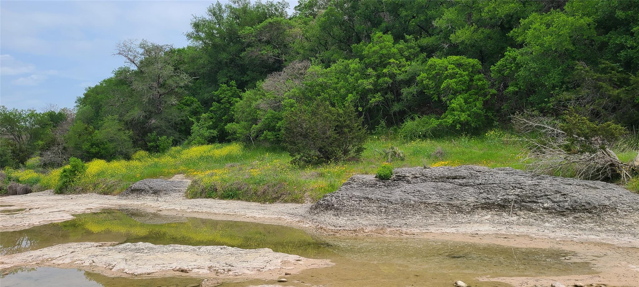 Tbd Us Highway 190 E None Property Photo 4
