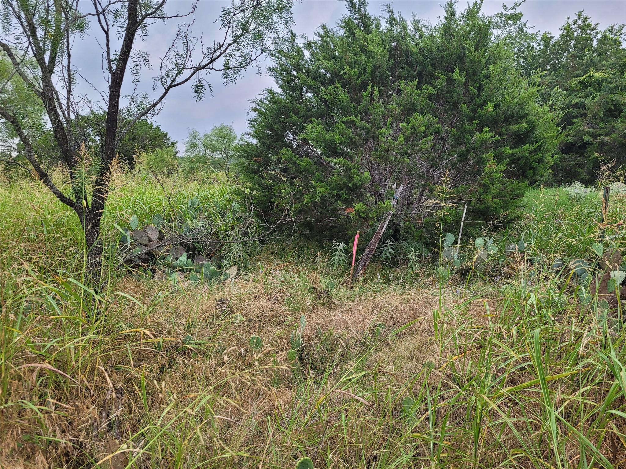 Tbd Us Highway 190 E None Property Photo 15