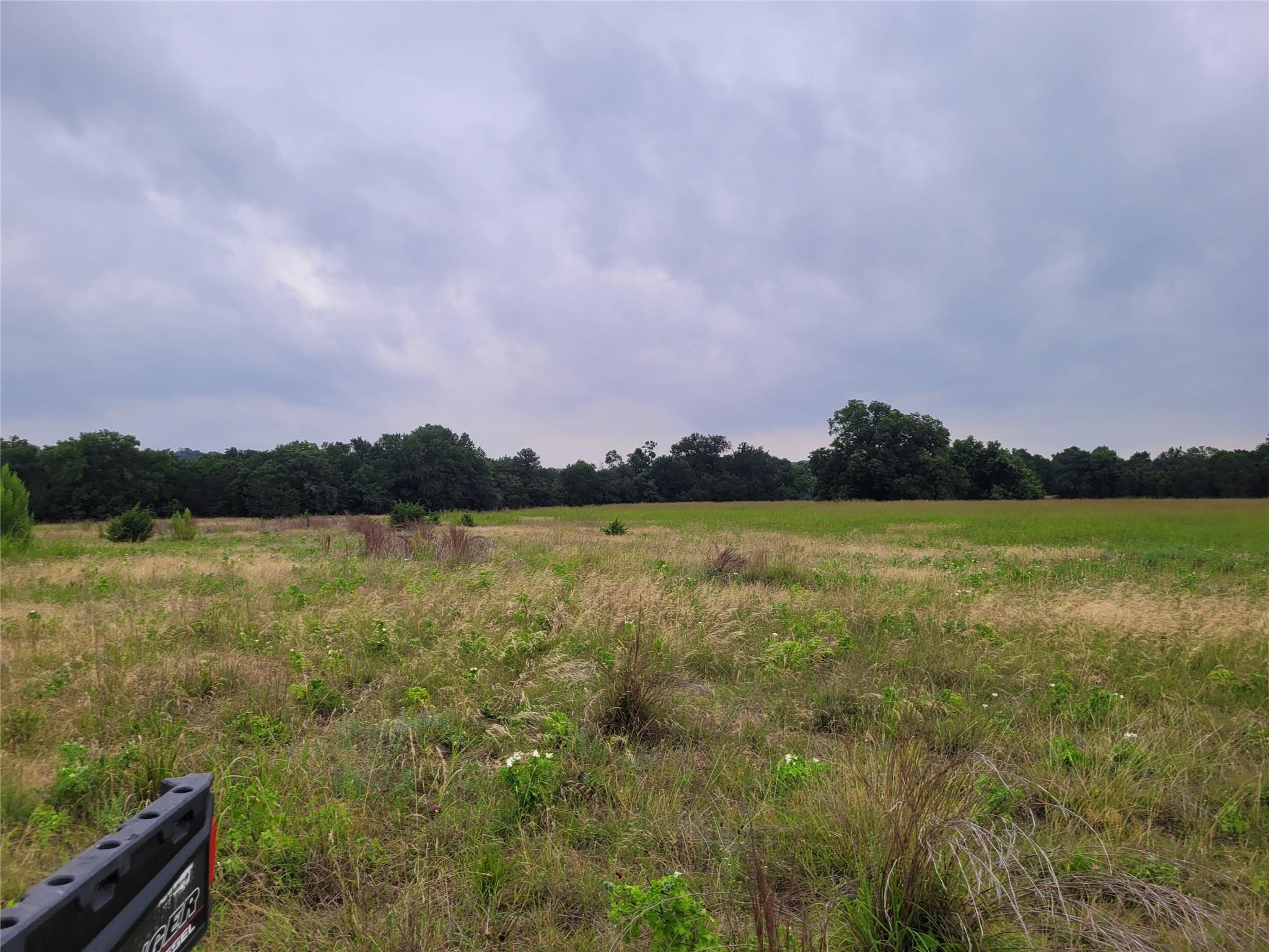 Tbd Us Highway 190 E None Property Photo 17