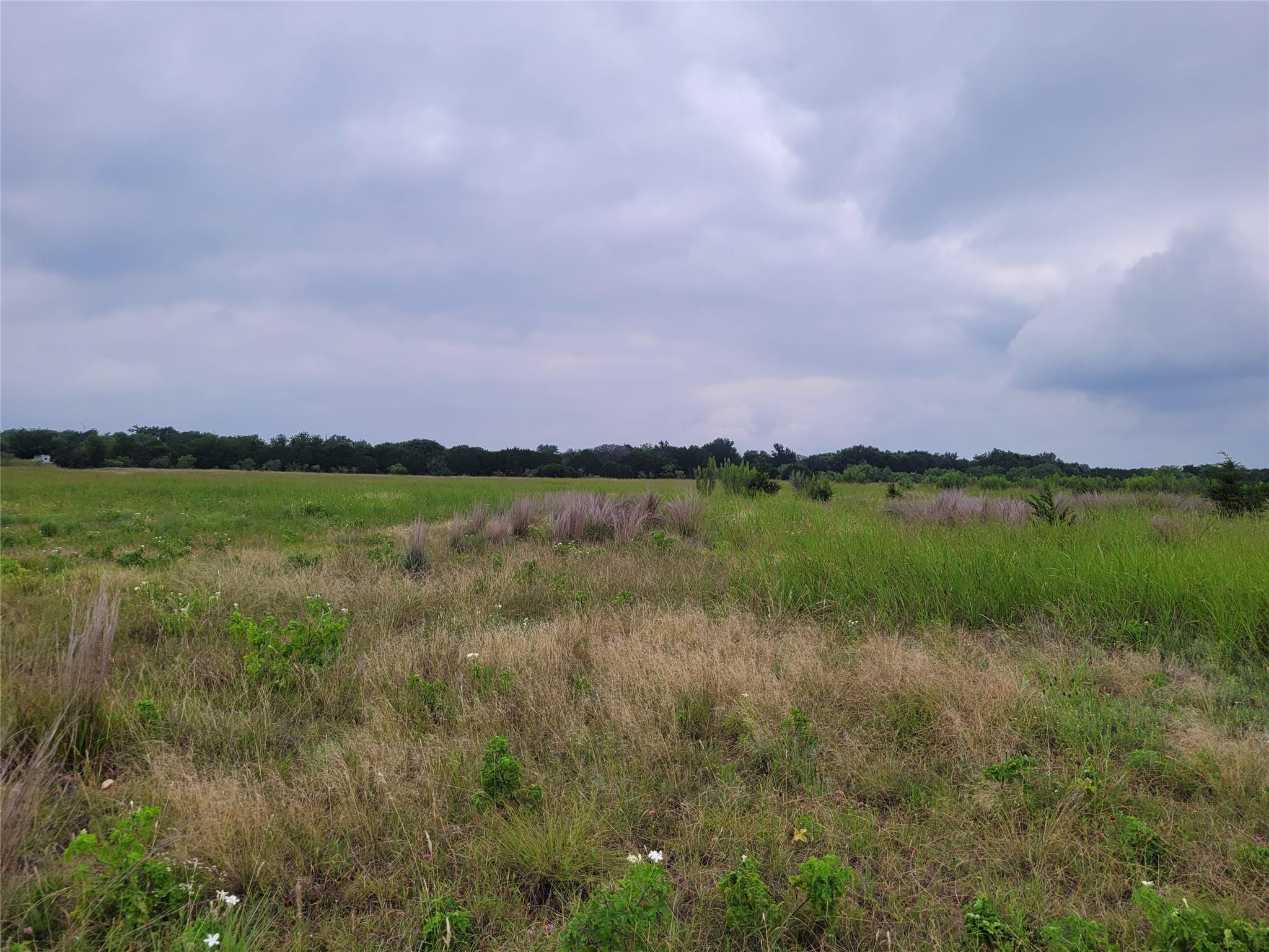 Tbd Us Highway 190 E None Property Photo 18