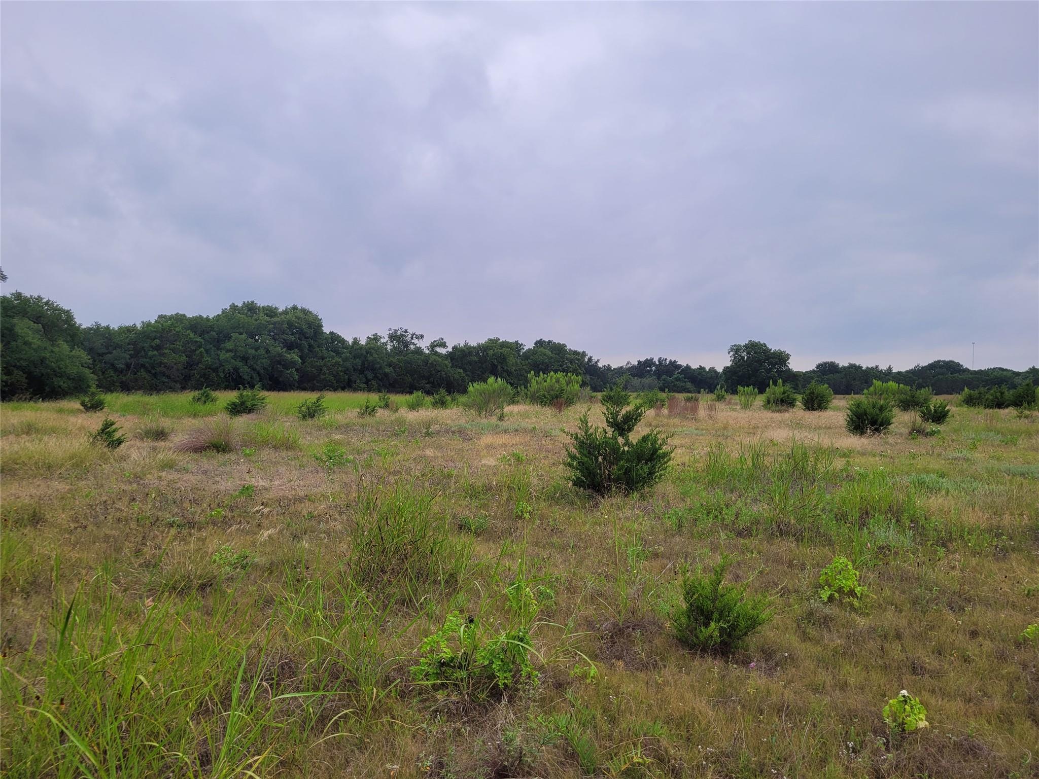 Tbd Us Highway 190 E None Property Photo 19