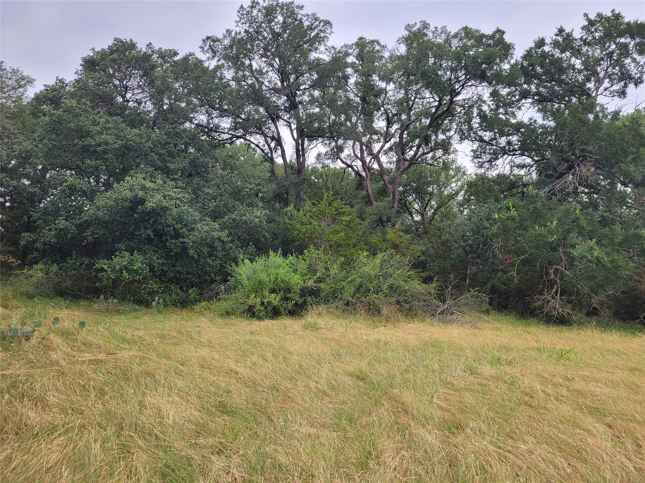 Tbd Us Highway 190 E None Property Photo 21