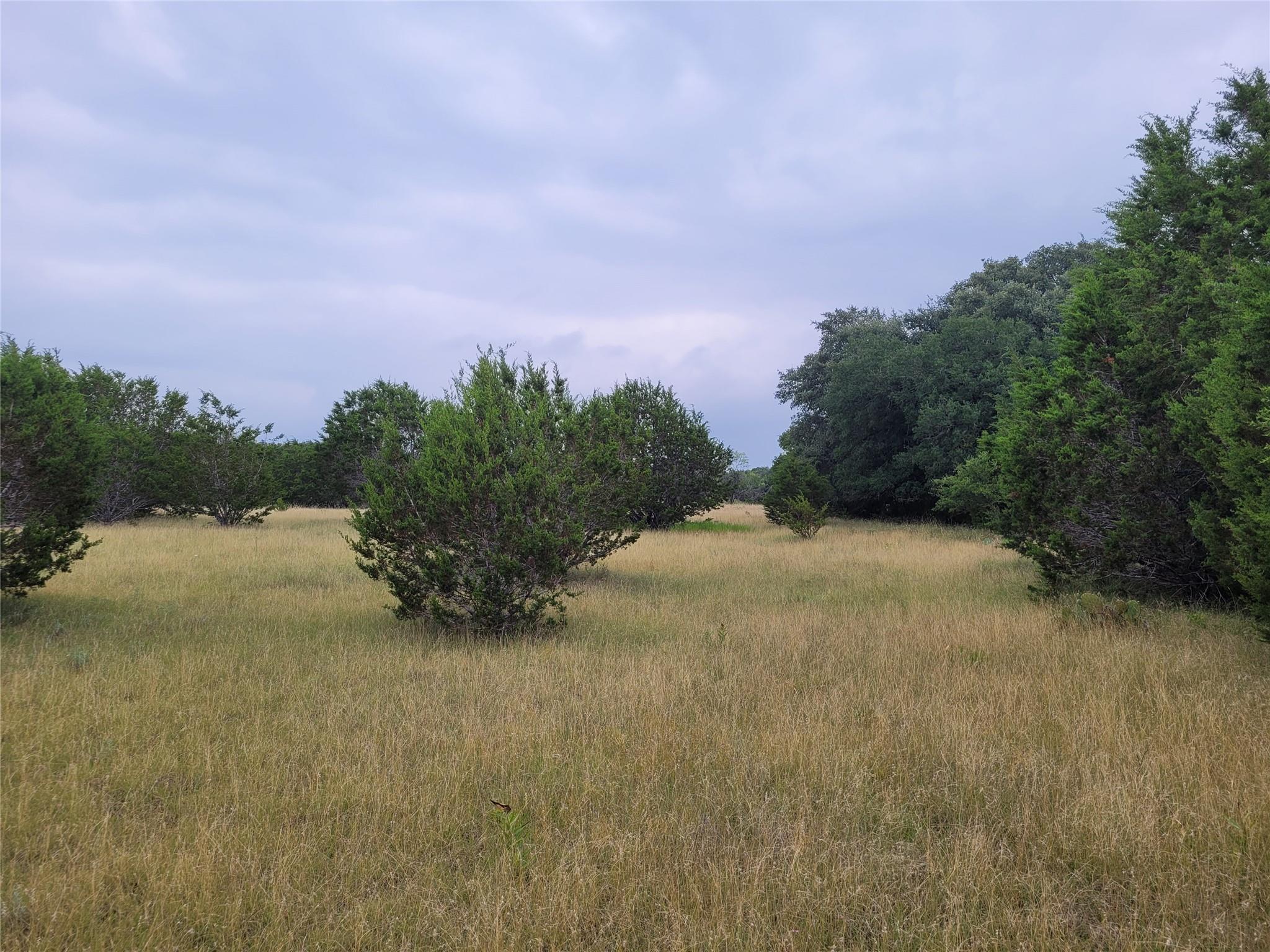 Tbd Us Highway 190 E None Property Photo 22
