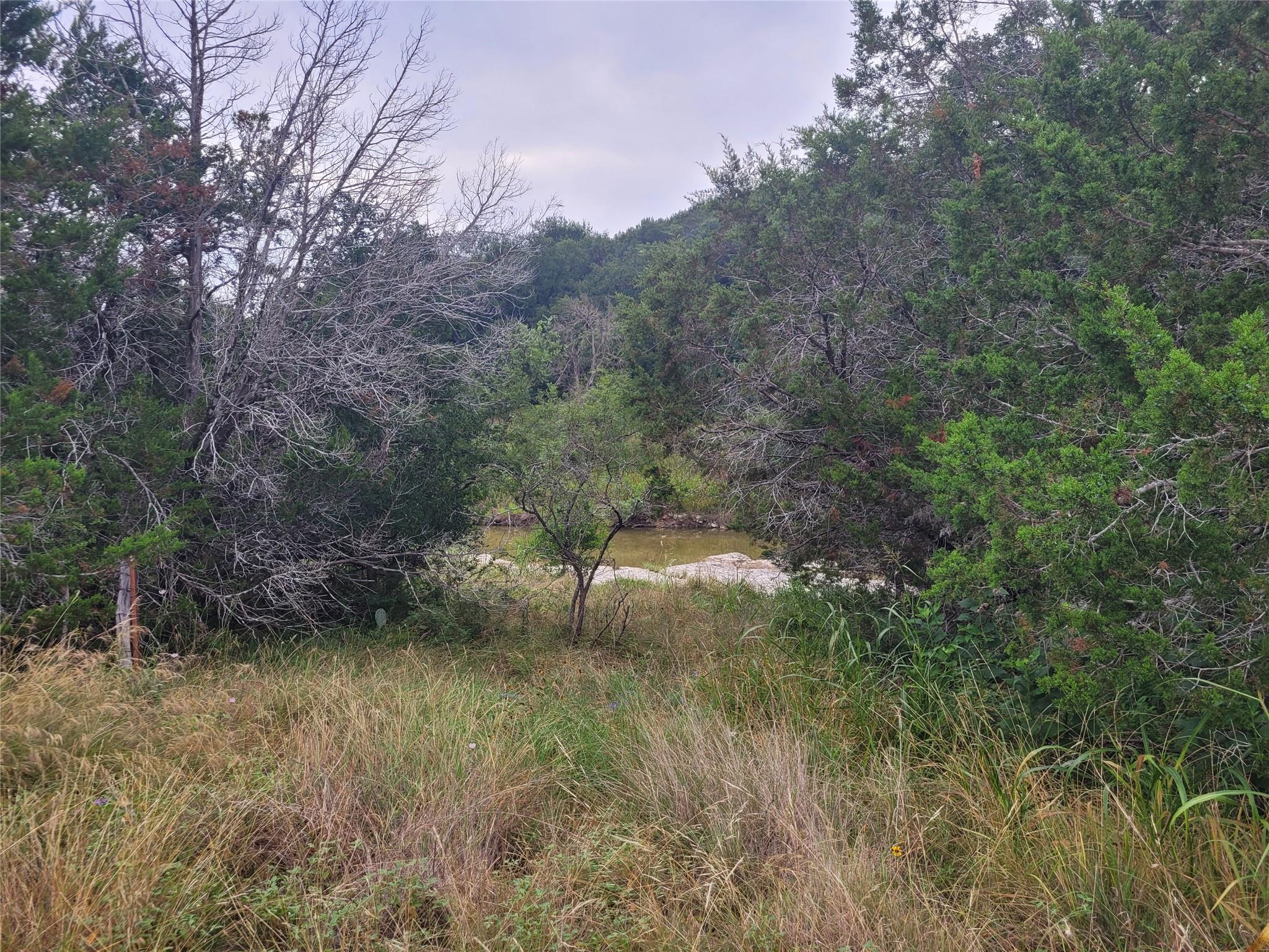 Tbd Us Highway 190 E None Property Photo 32