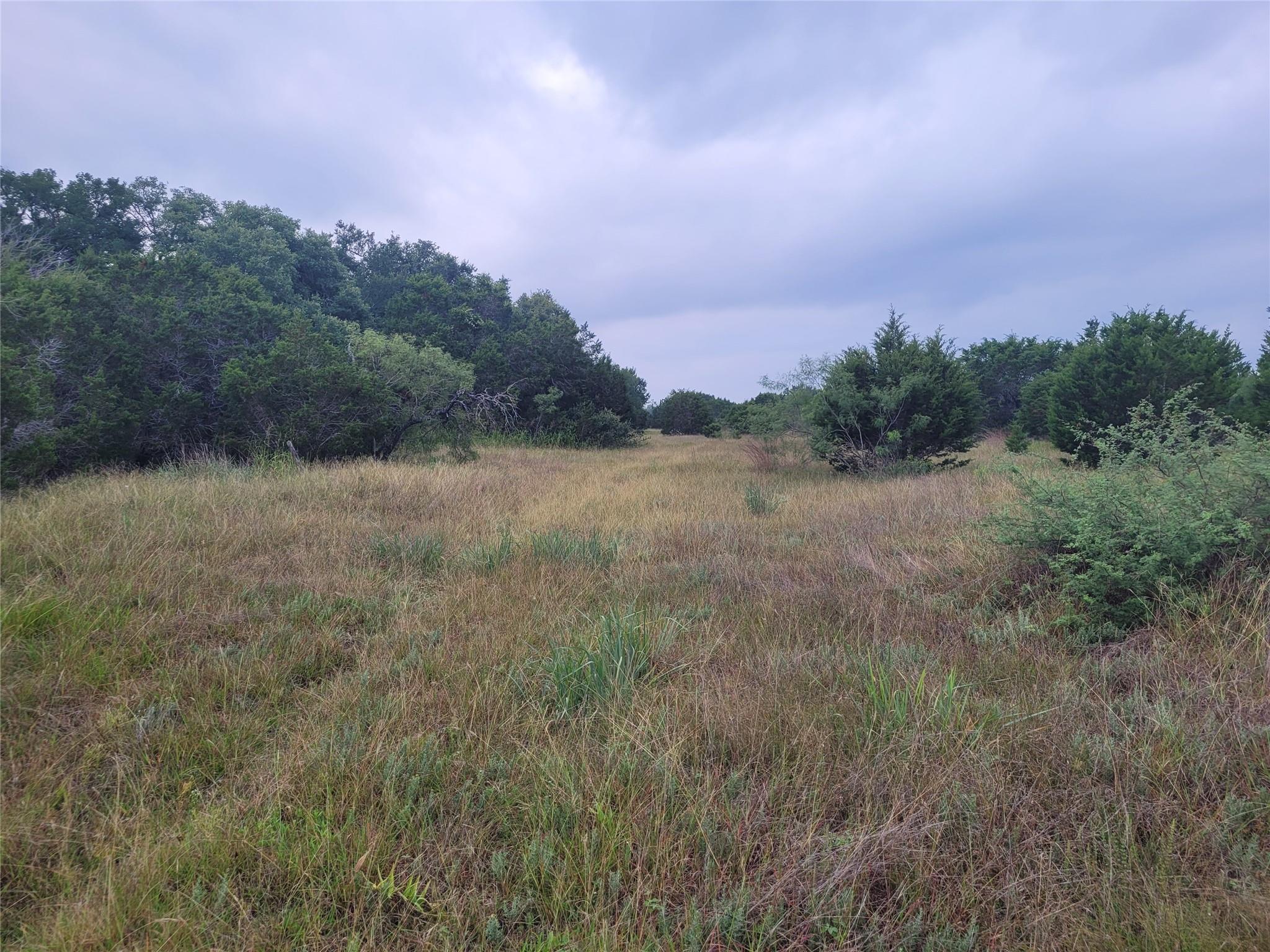 Tbd Us Highway 190 E None Property Photo 33