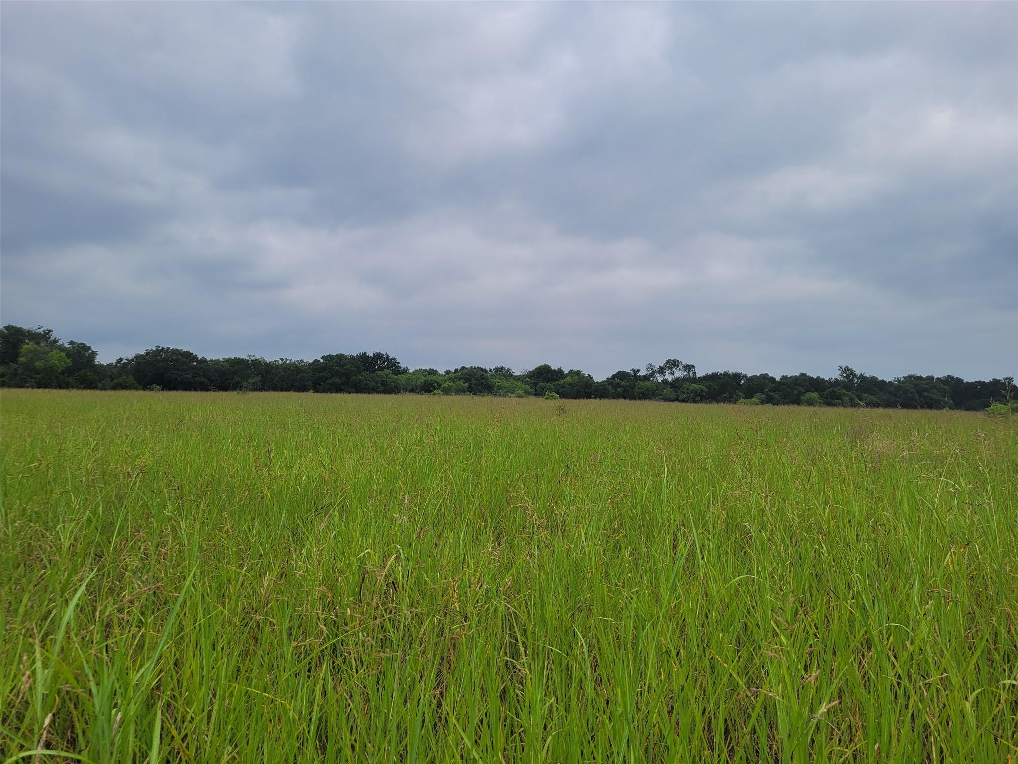 Tbd Us Highway 190 E None Property Photo 36