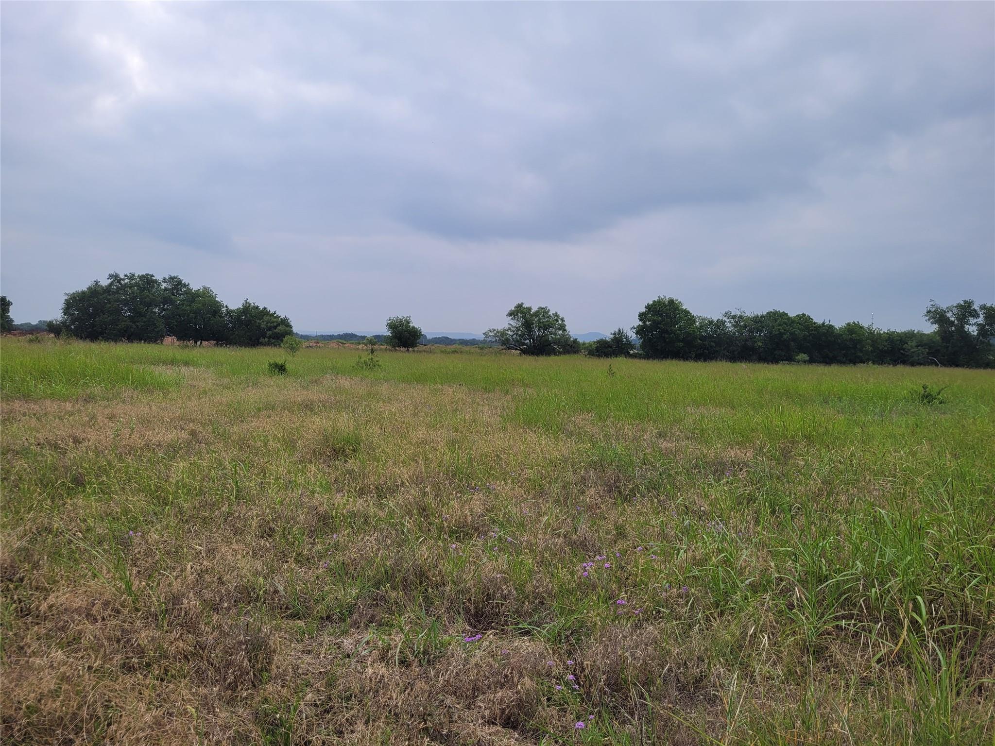 Tbd Us Highway 190 E None Property Photo 37