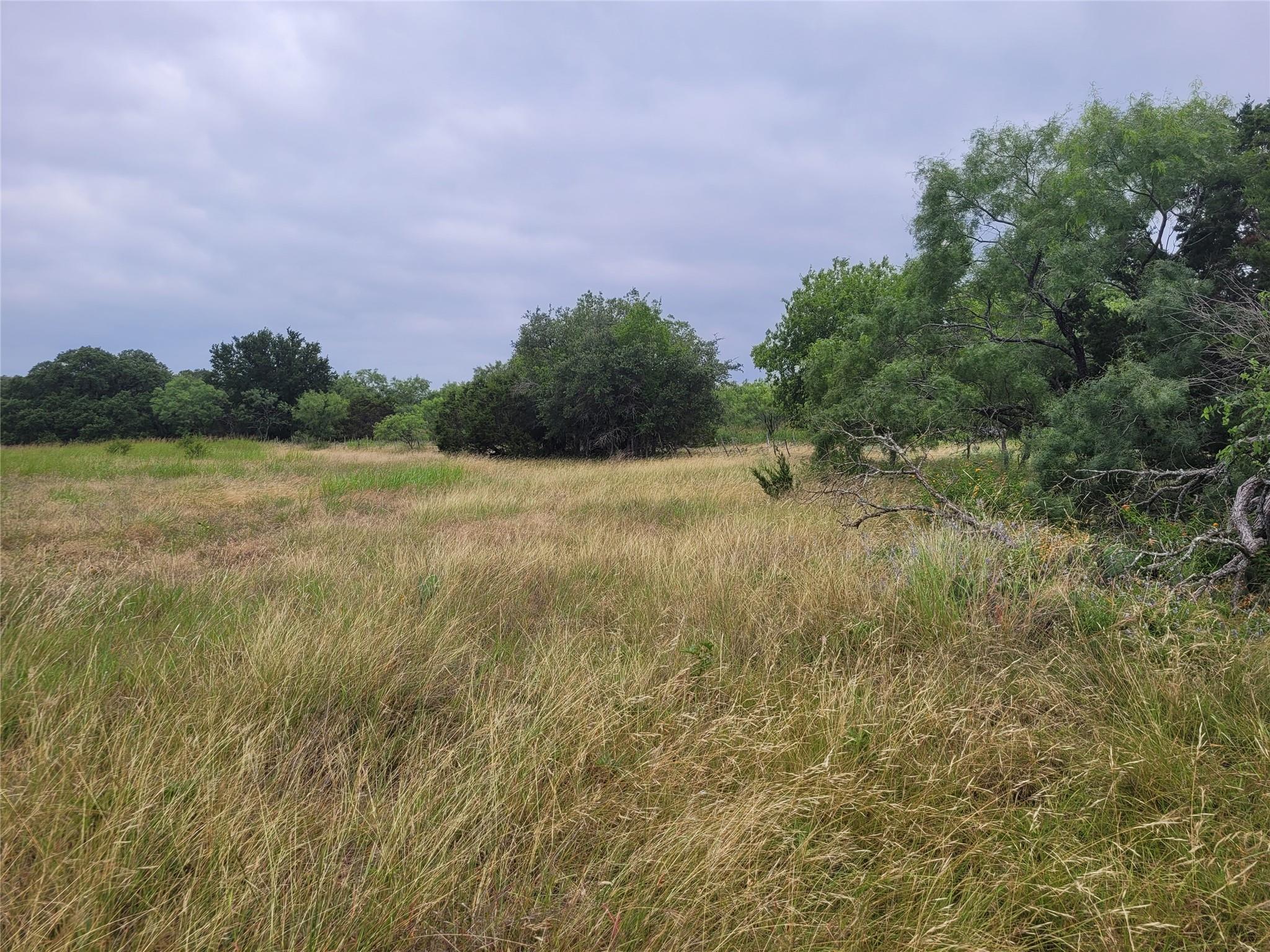 Tbd Us Highway 190 E None Property Photo 38