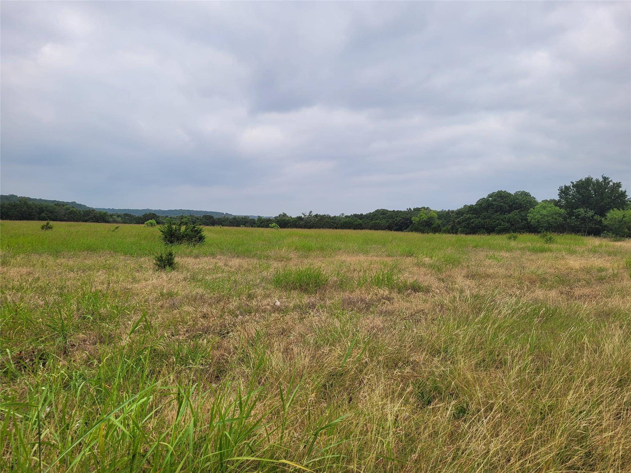 Tbd Us Highway 190 E None Property Photo 39