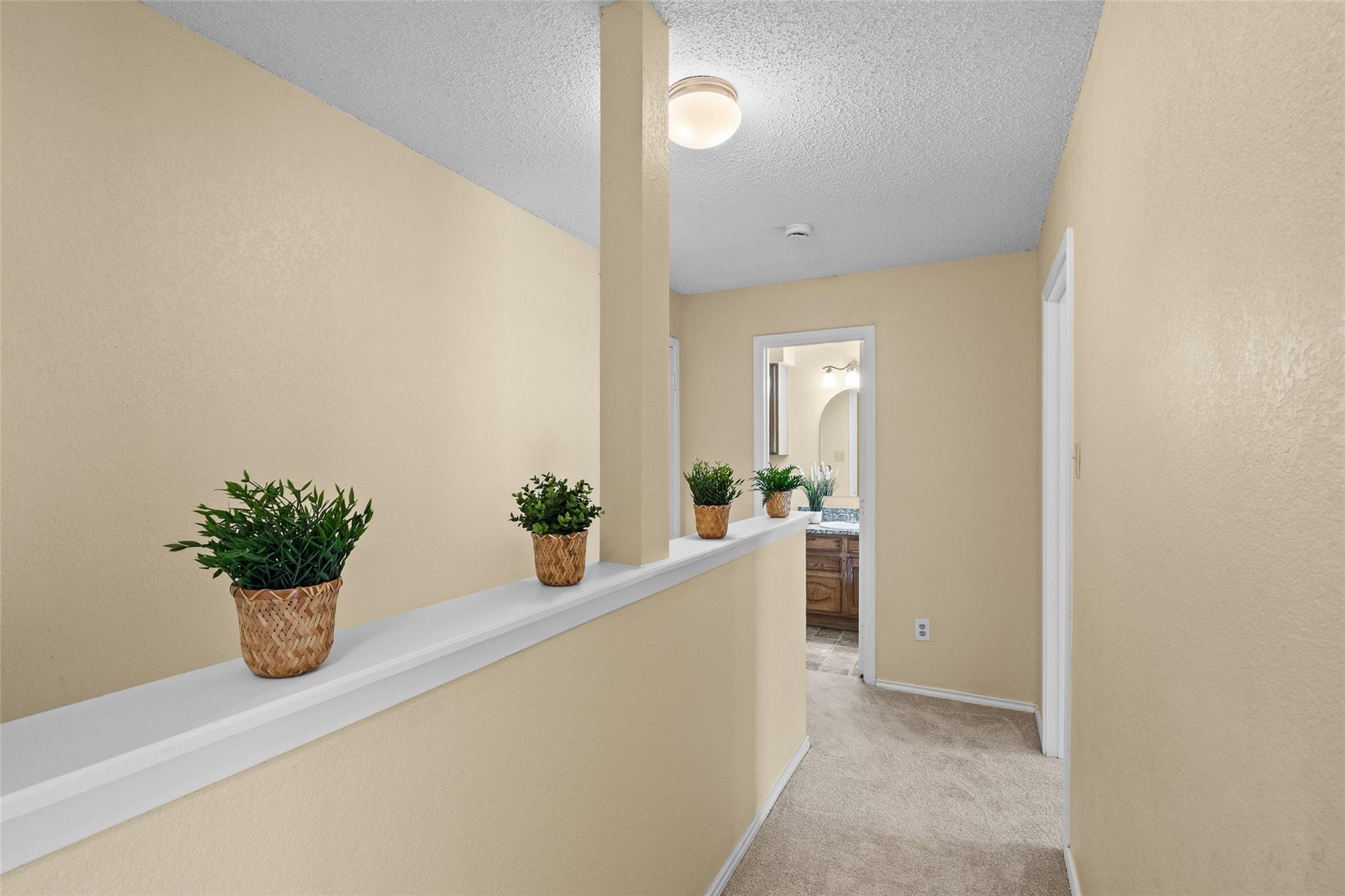 3200 Blazing Star Trl Property Photo 19